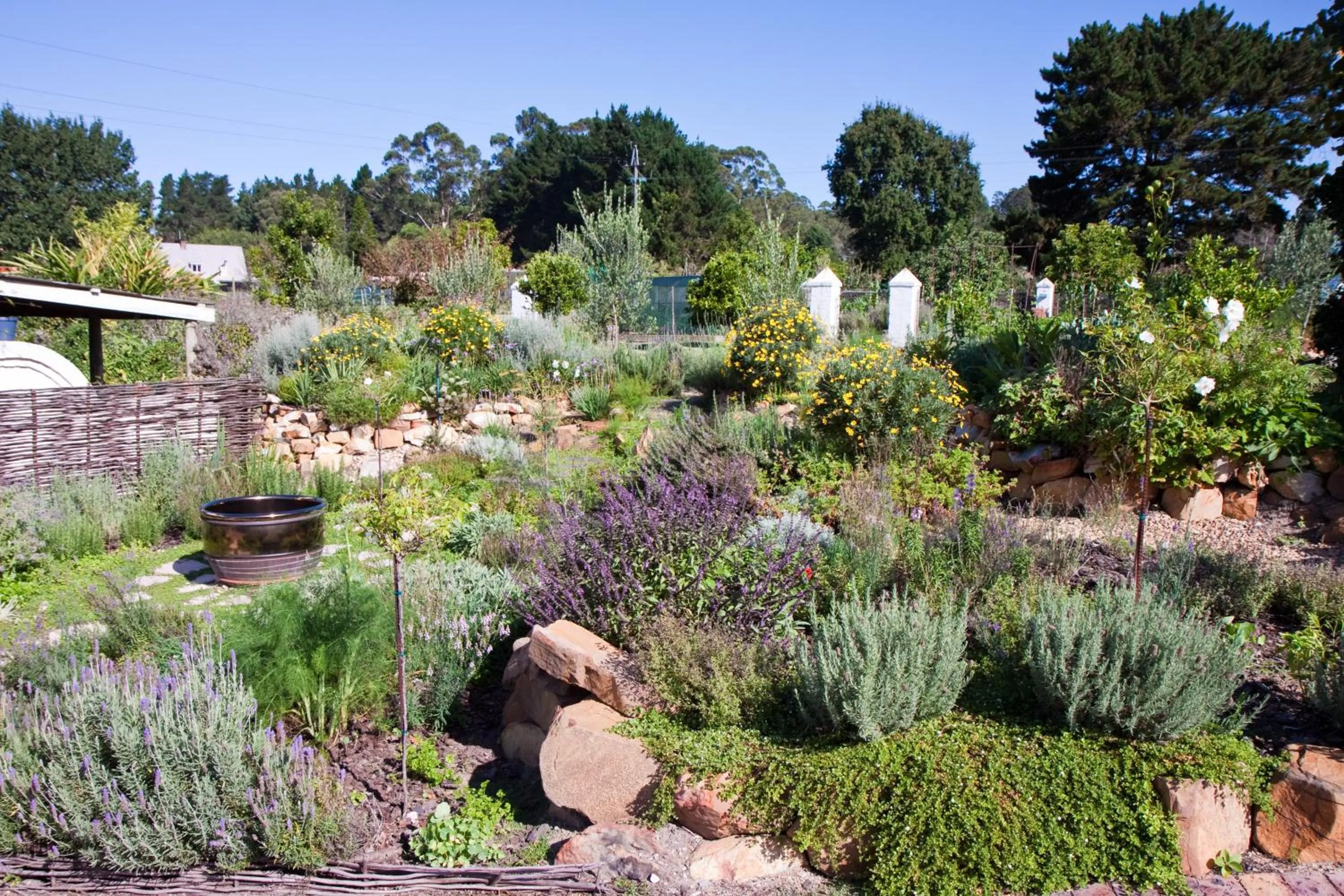 Garden in Fynbos Ridge Country House & Cottages