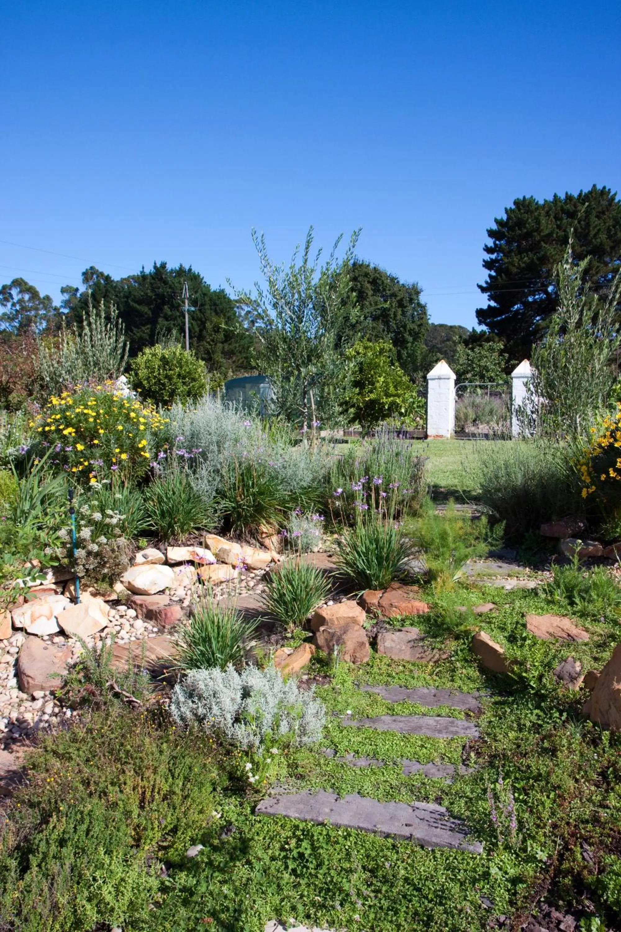 Garden in Fynbos Ridge Country House & Cottages