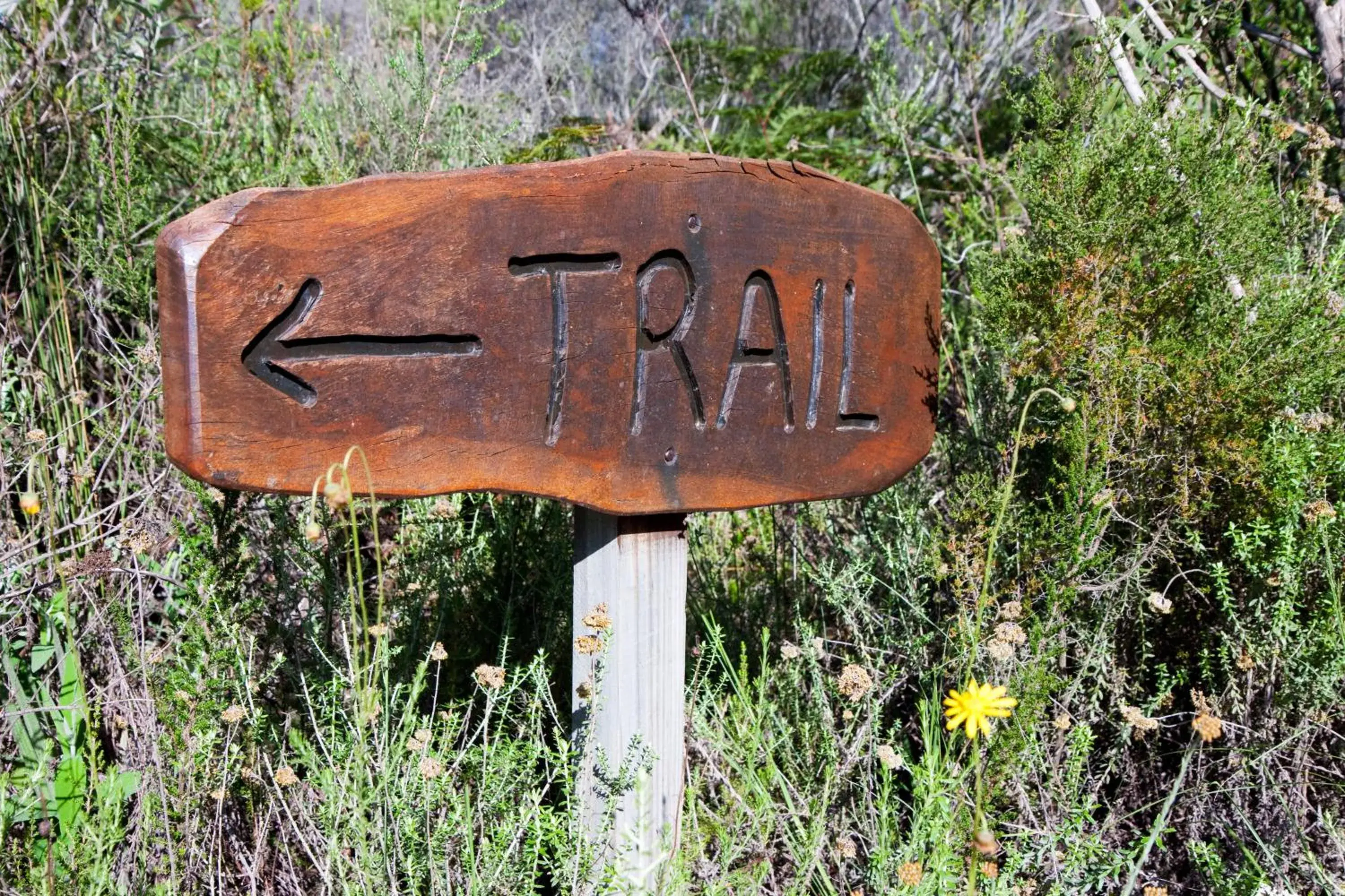 Garden in Fynbos Ridge Country House & Cottages Garden in Fynbos Ridge Country House & Cottages