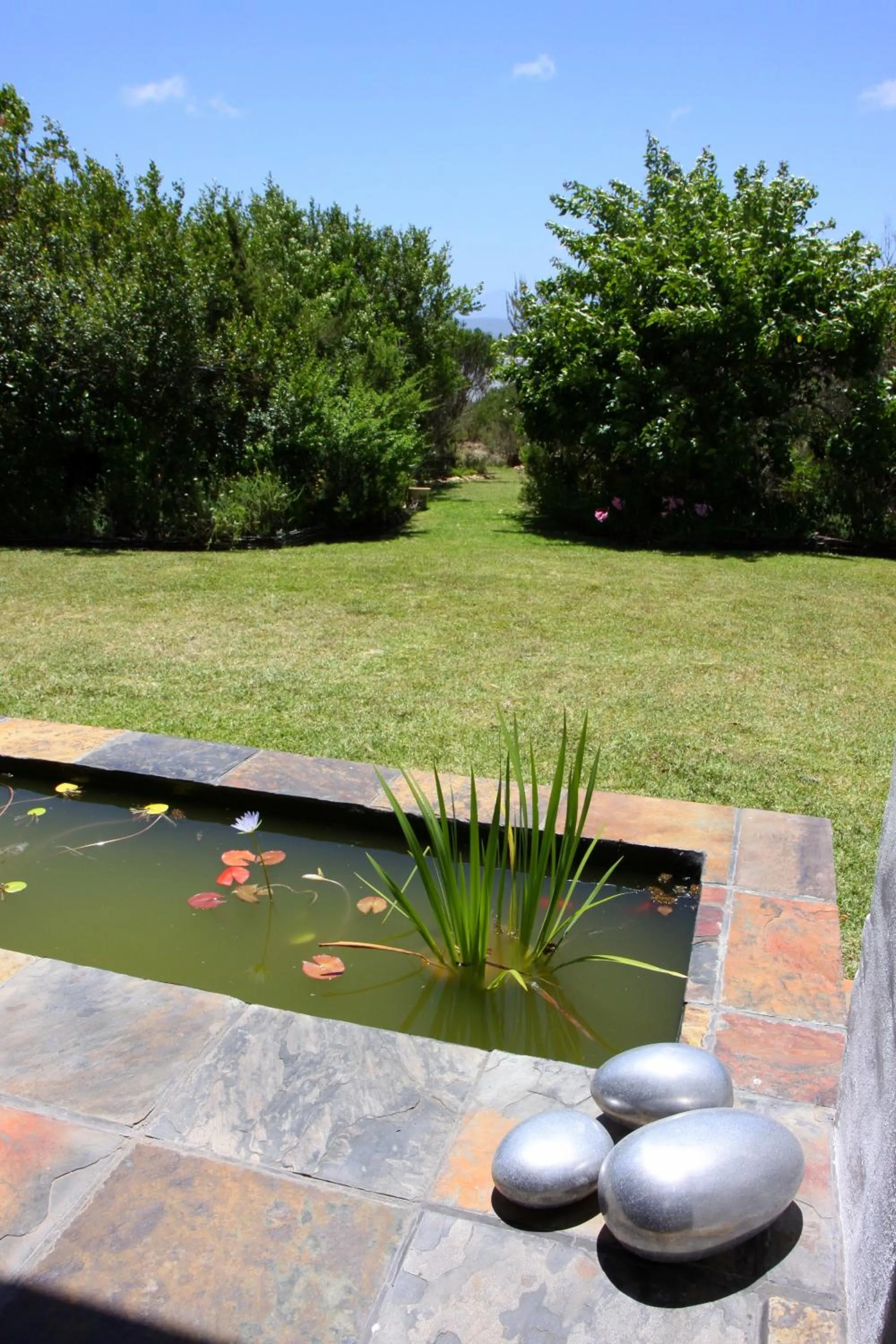 Garden in Fynbos Ridge Country House & Cottages