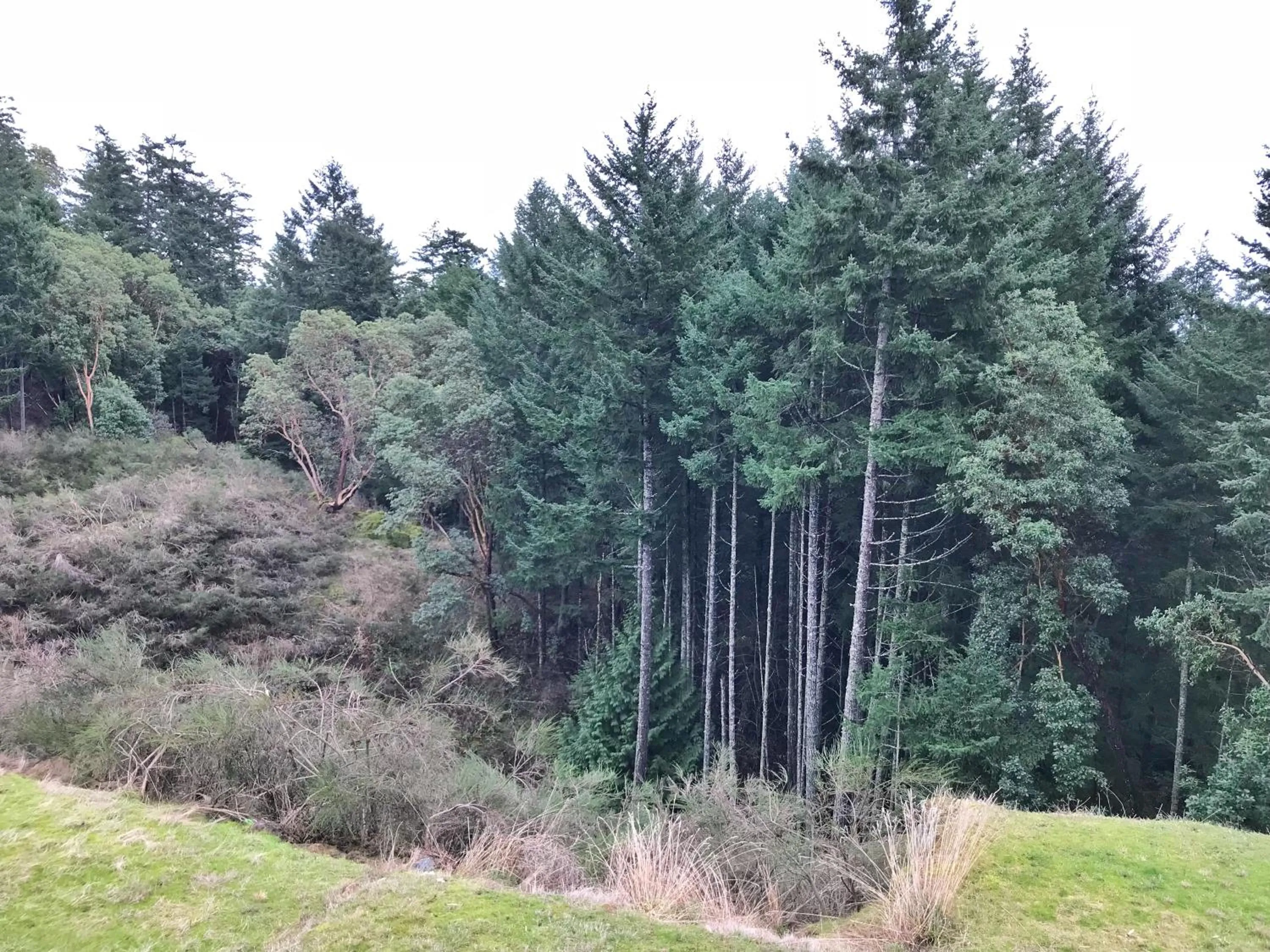 Property building in Oasis