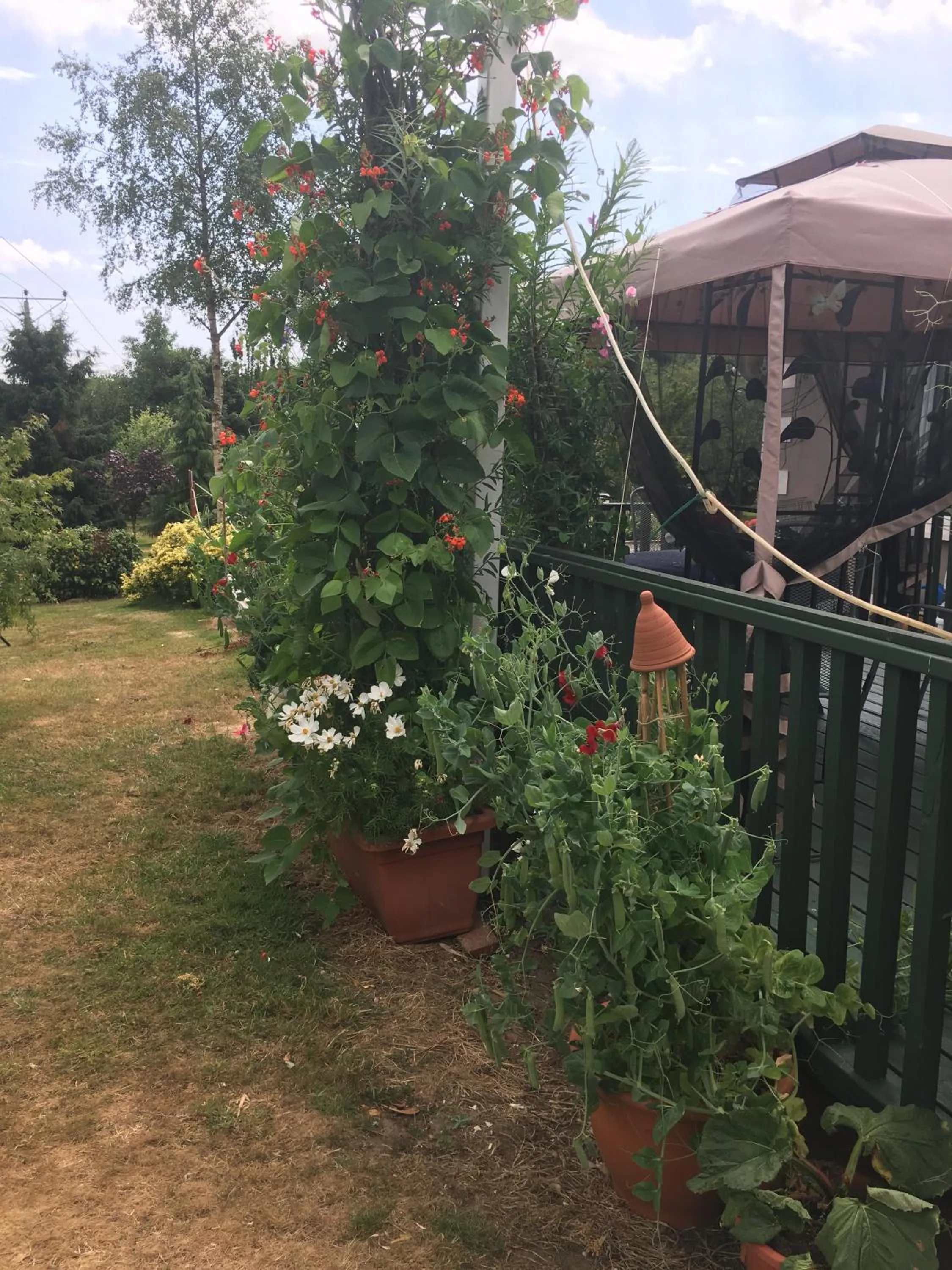 Patio in Killurin Lodge