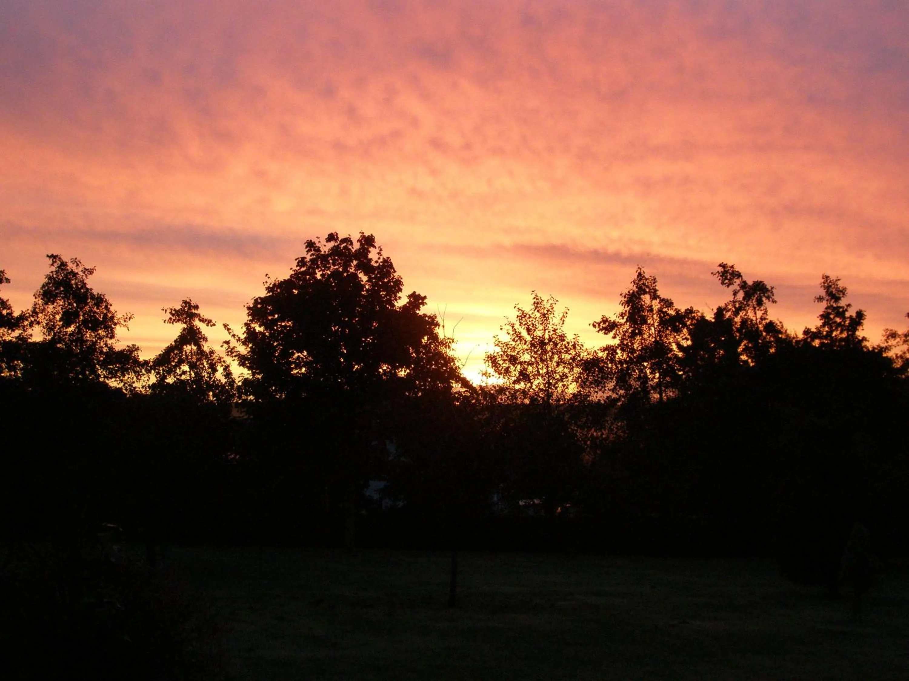 Garden in Killurin Lodge