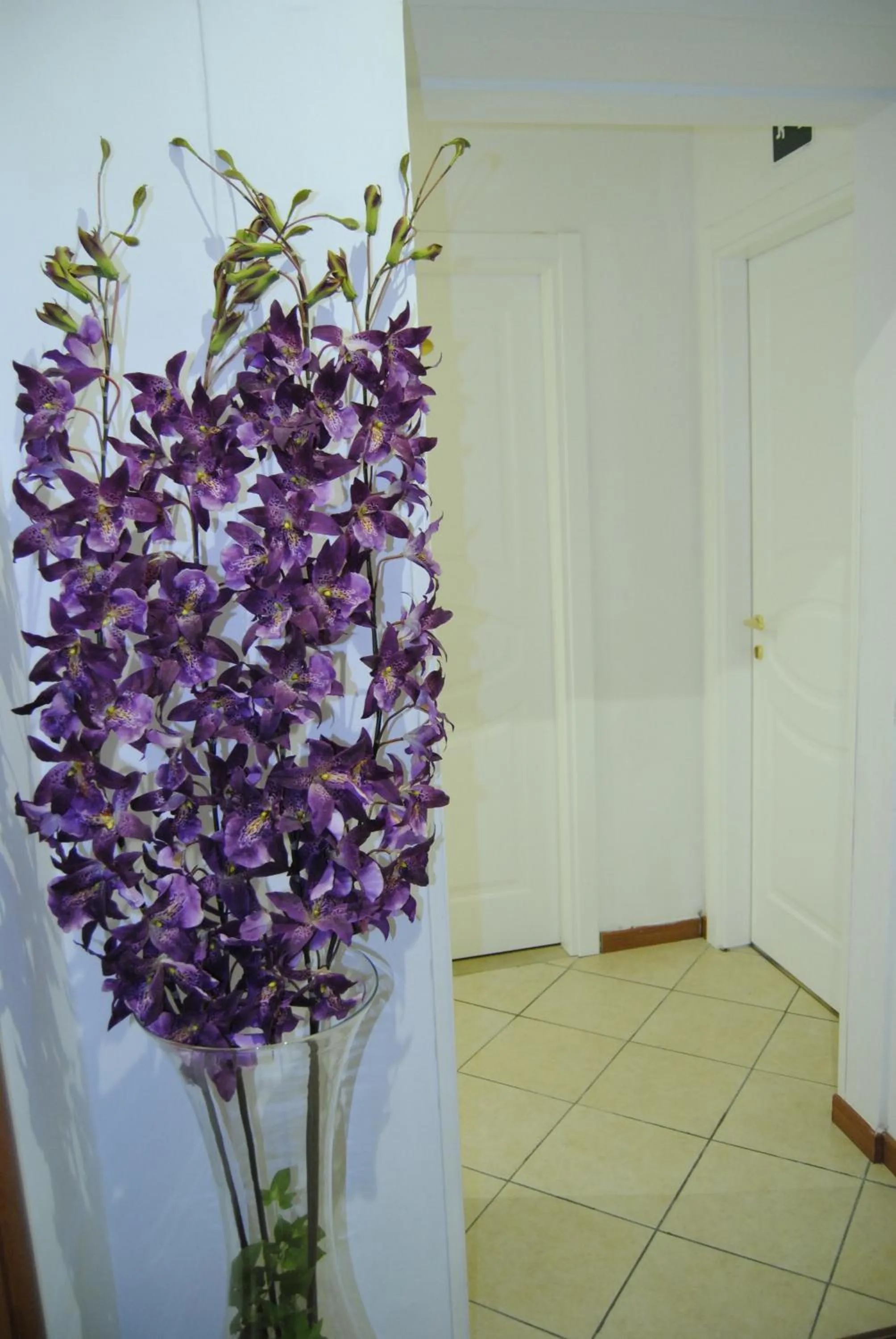 Other in Adelaide House