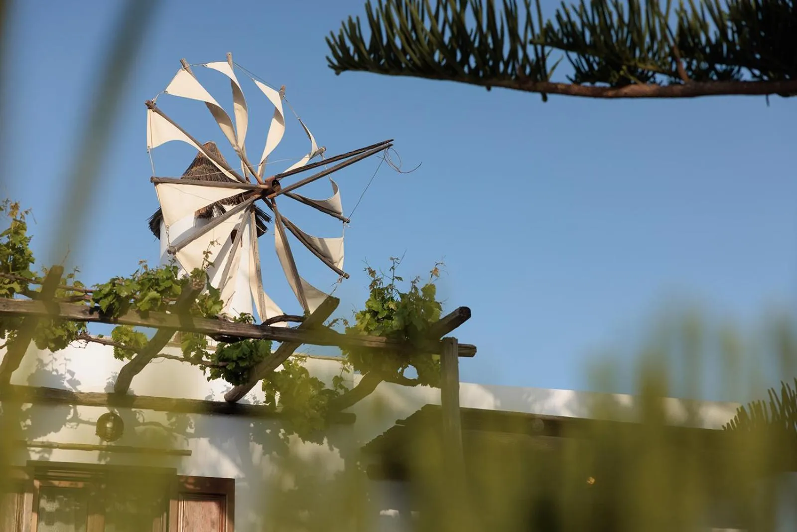 Garden in Anemomilos Beach hotel