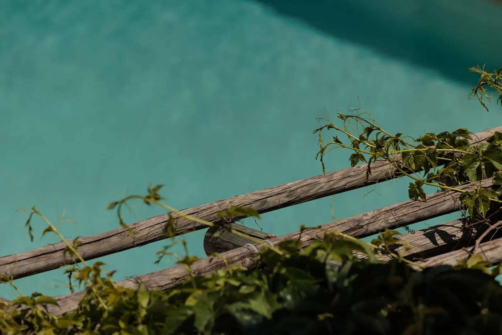 View (from property/room) in Anemomilos Beach hotel