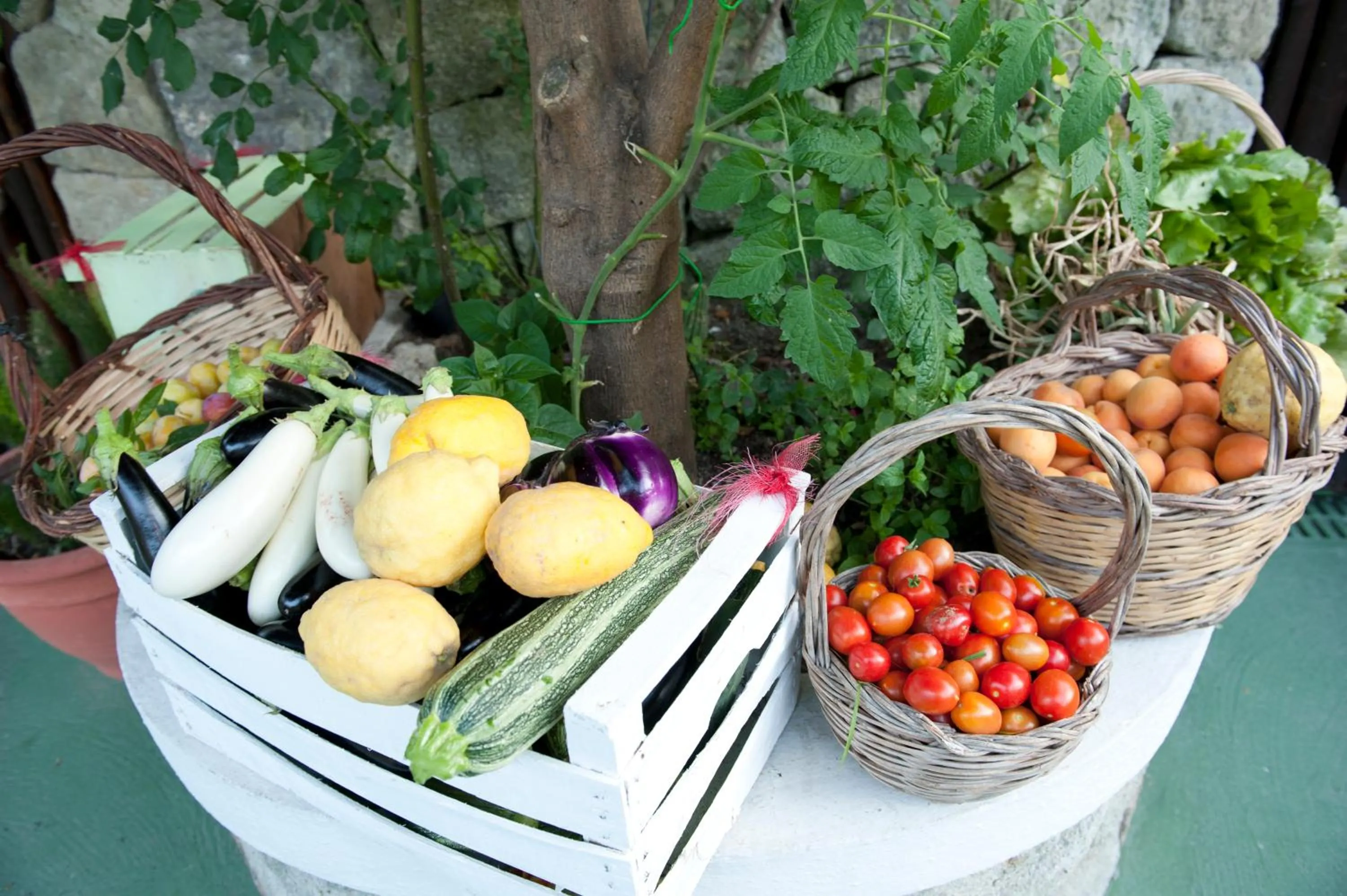 Garden in Paradise Relais Villa Janto'