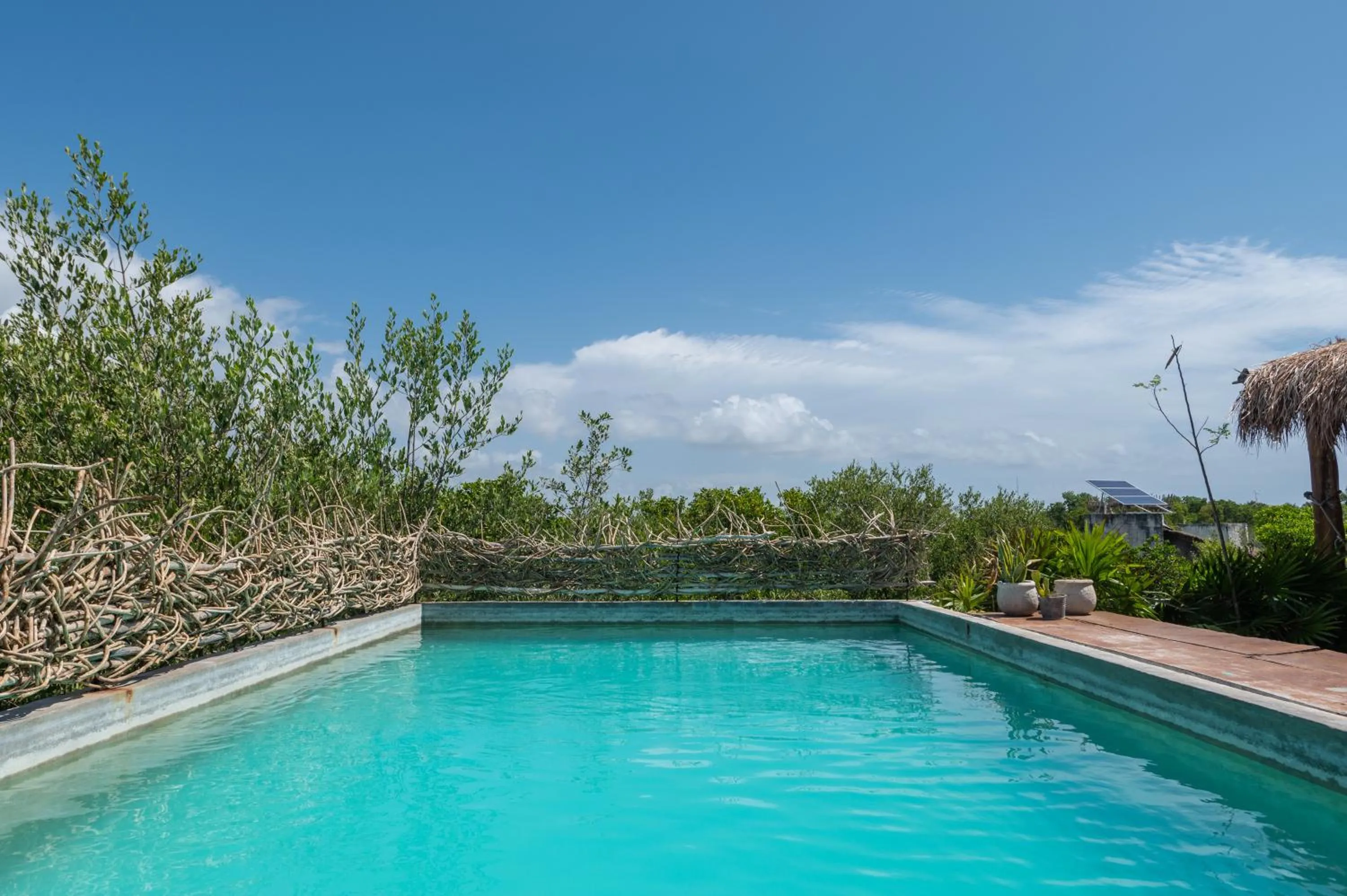 Swimming pool in Casa Coyote Tulum