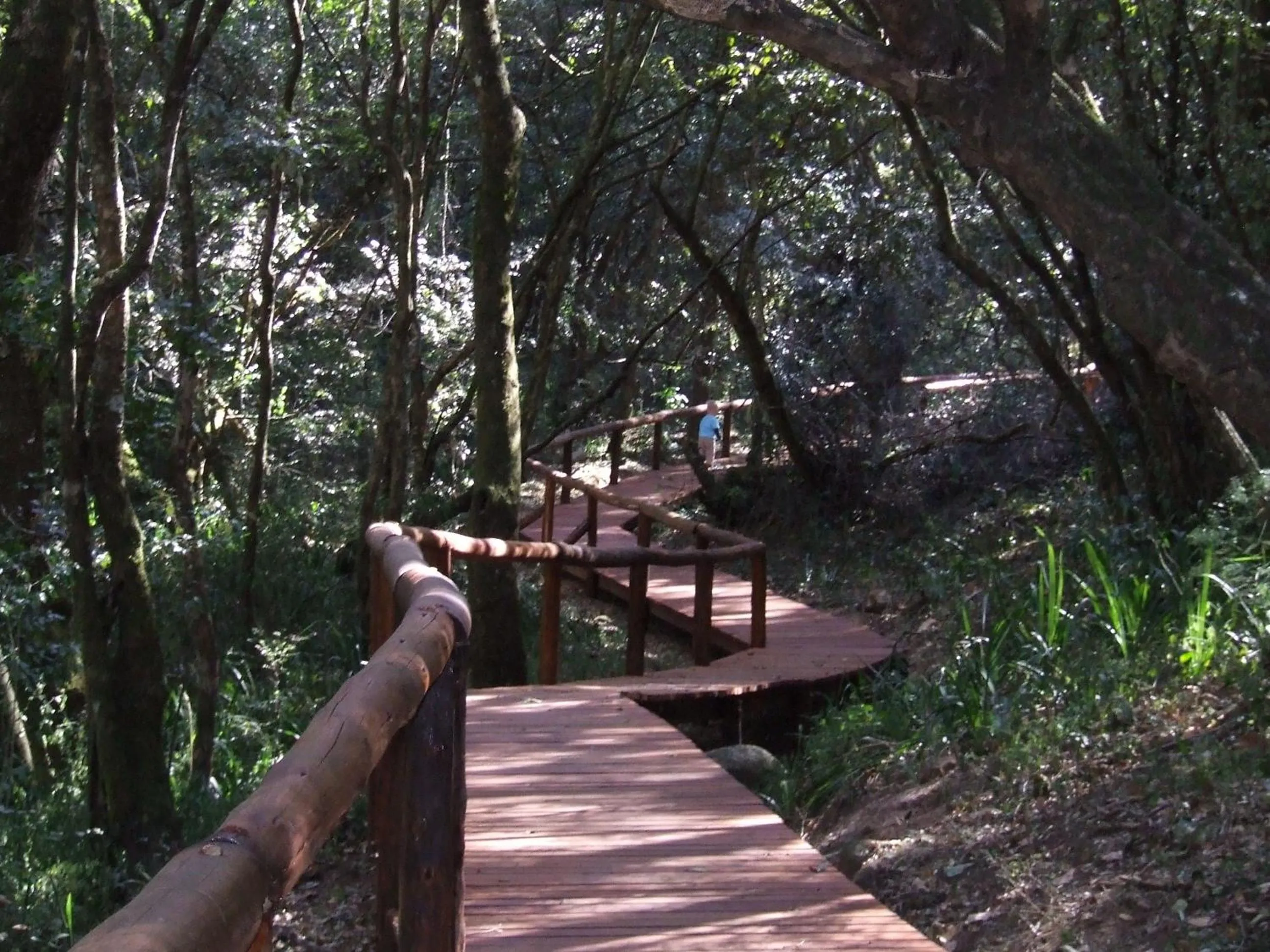 Area and facilities in The Manderson Hotel and Conference Centre