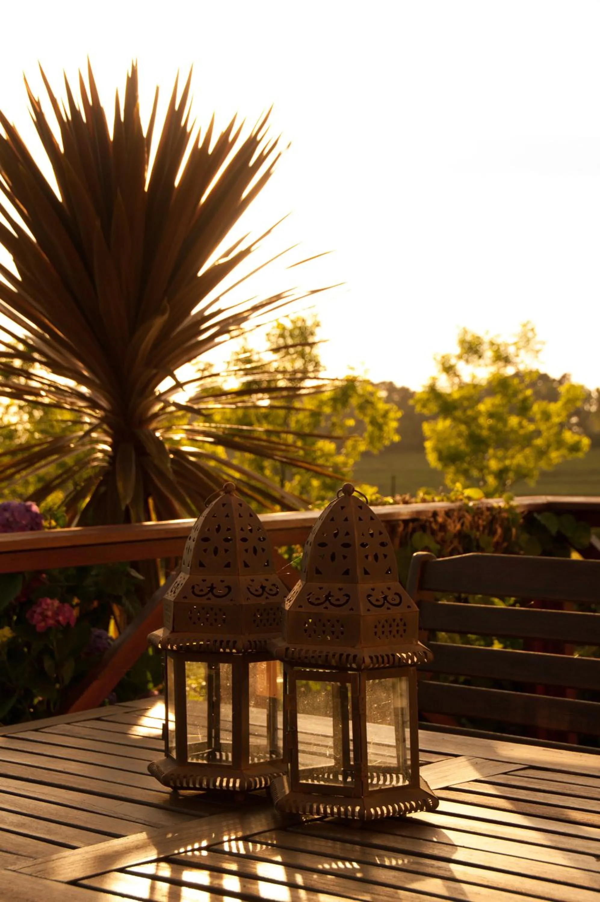 Patio in The Manderson Hotel and Conference Centre