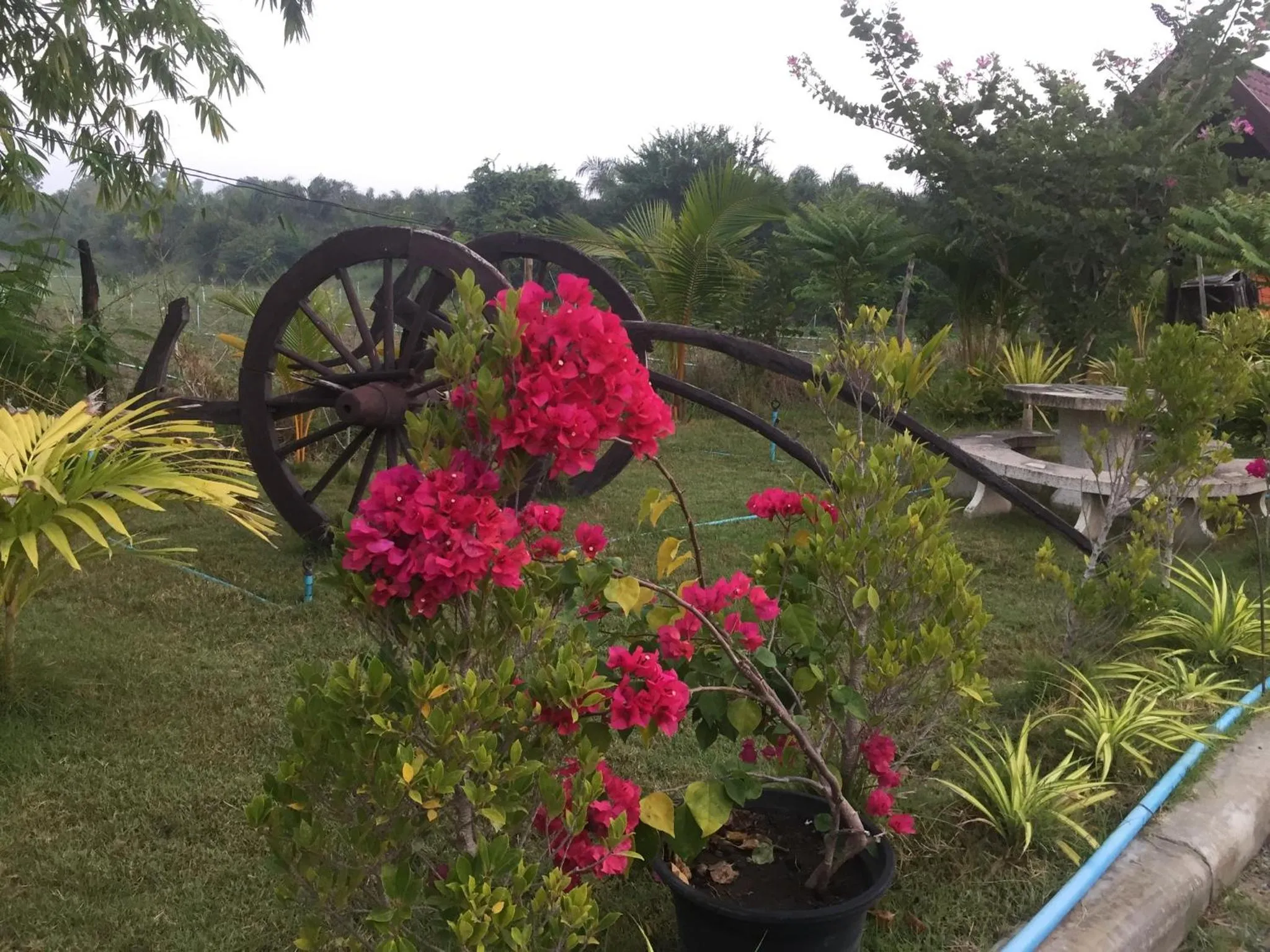 Property building in Bussaracum Resort