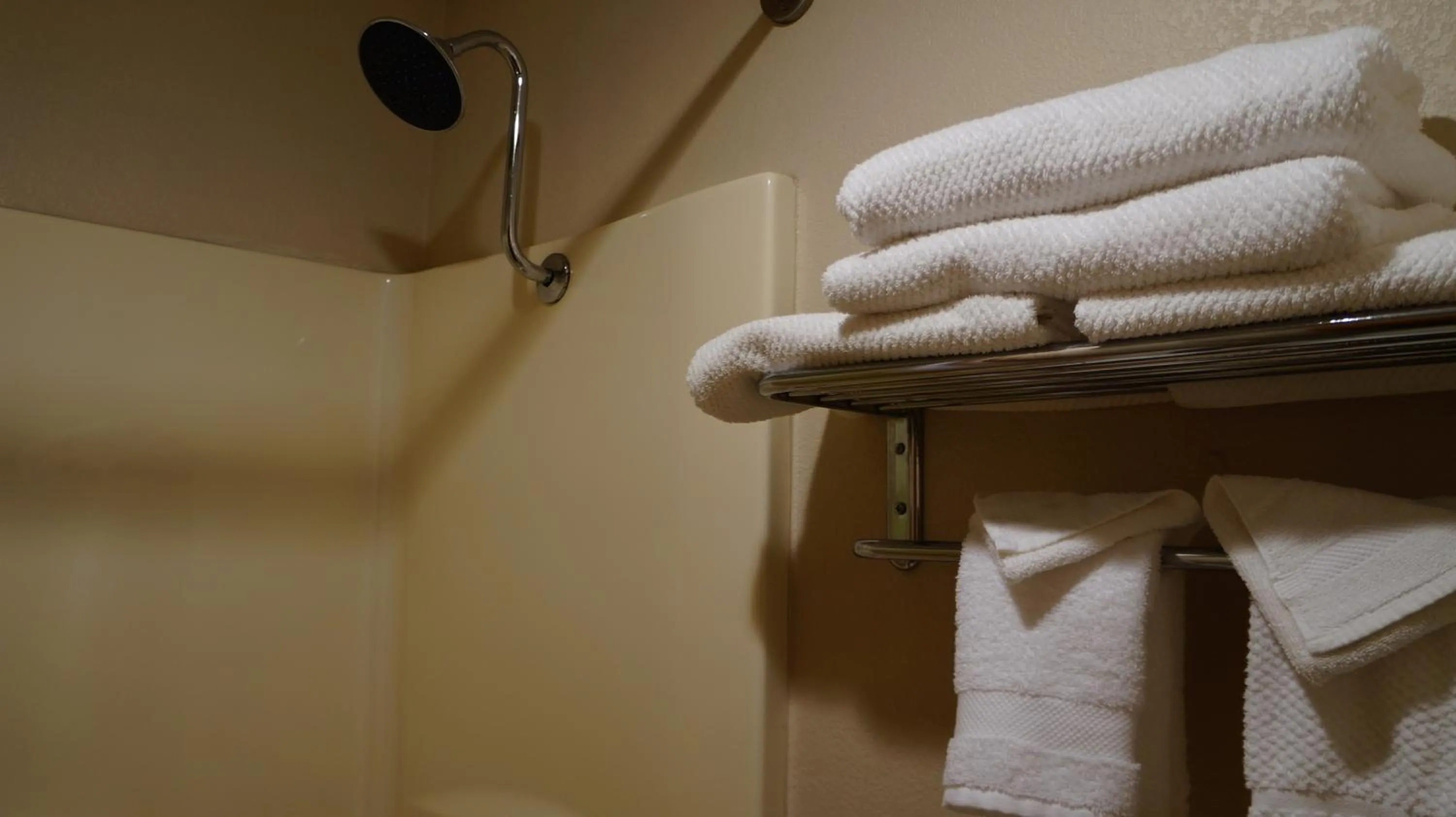 Shower in Hotel Grand Victorian