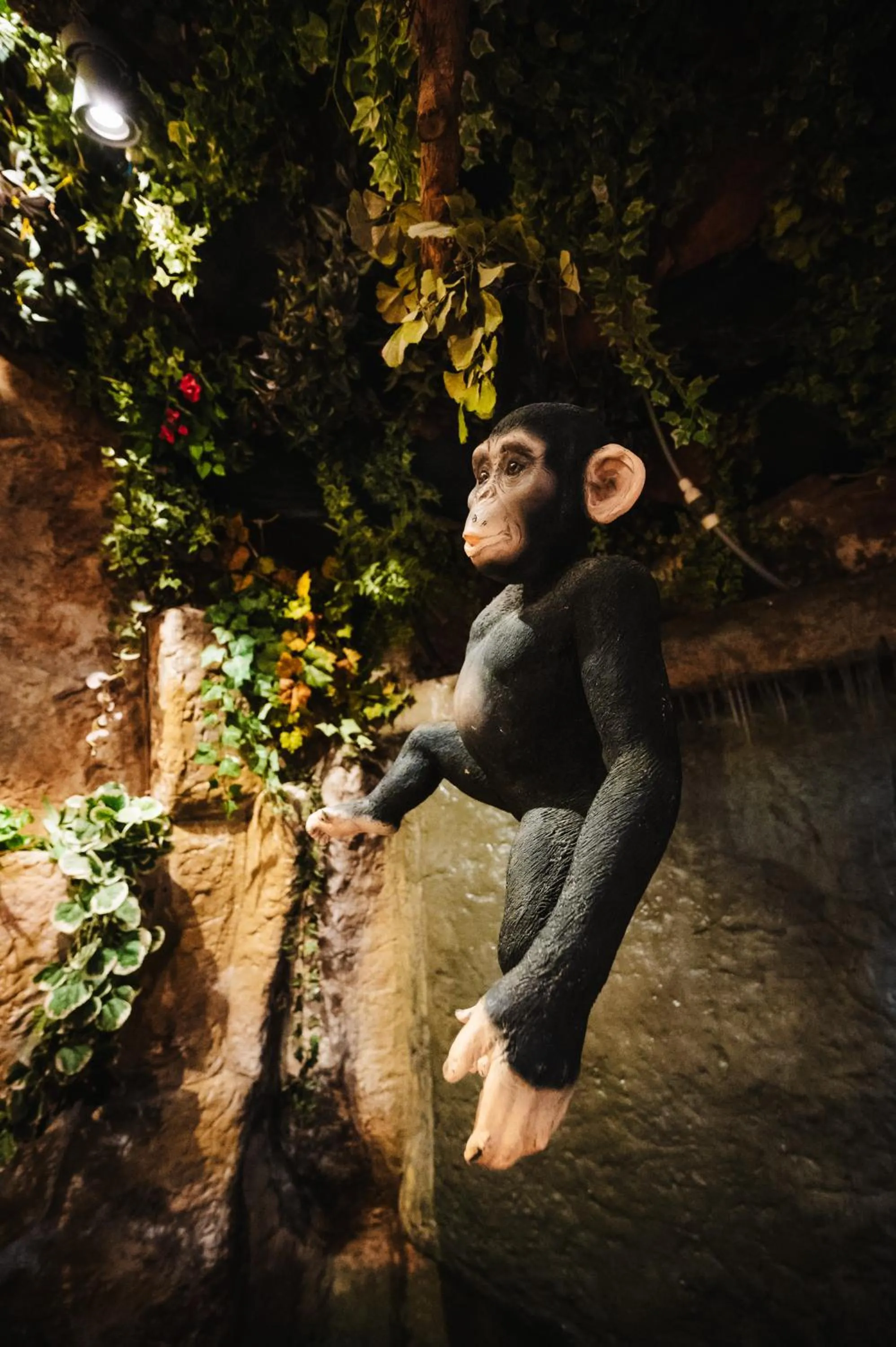 db Seabank Resort + Spa All Inclusive