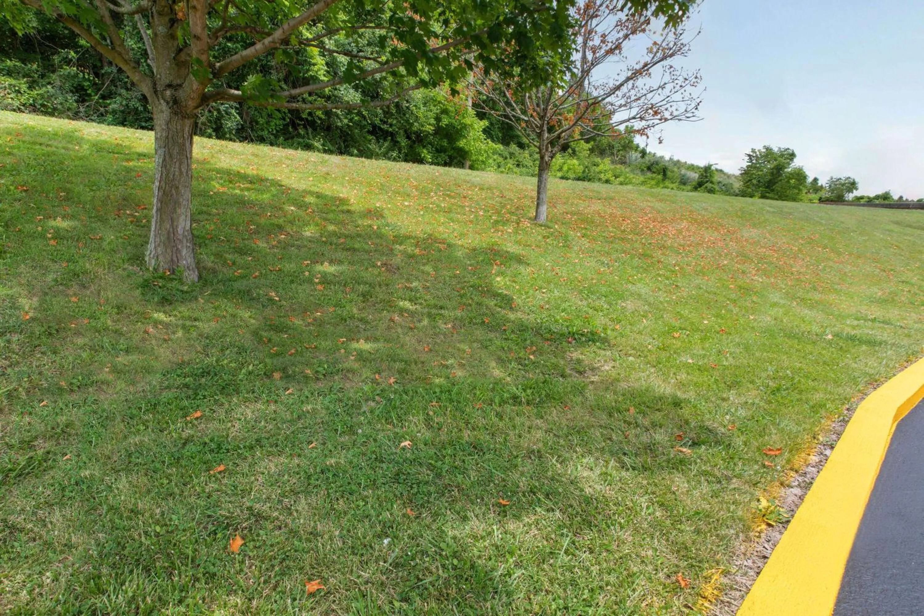 Other in Super 8 by Wyndham Bridgeport/Clarksburg Area