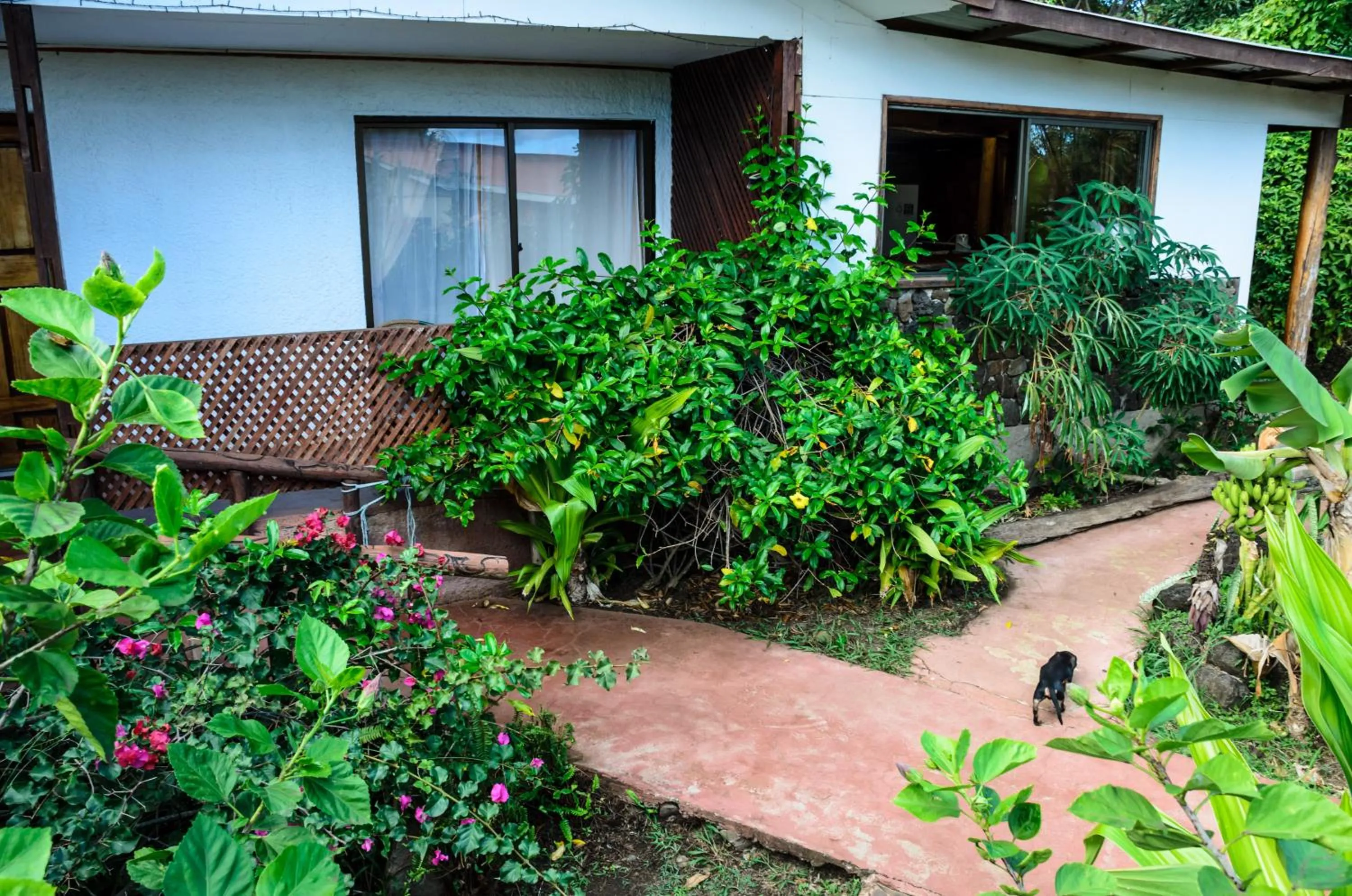 Cabañas MANA NUI INN