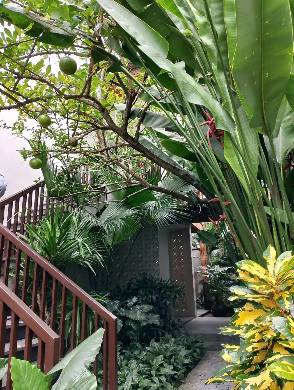 Garden in Hoi An Eco Lodge & Spa