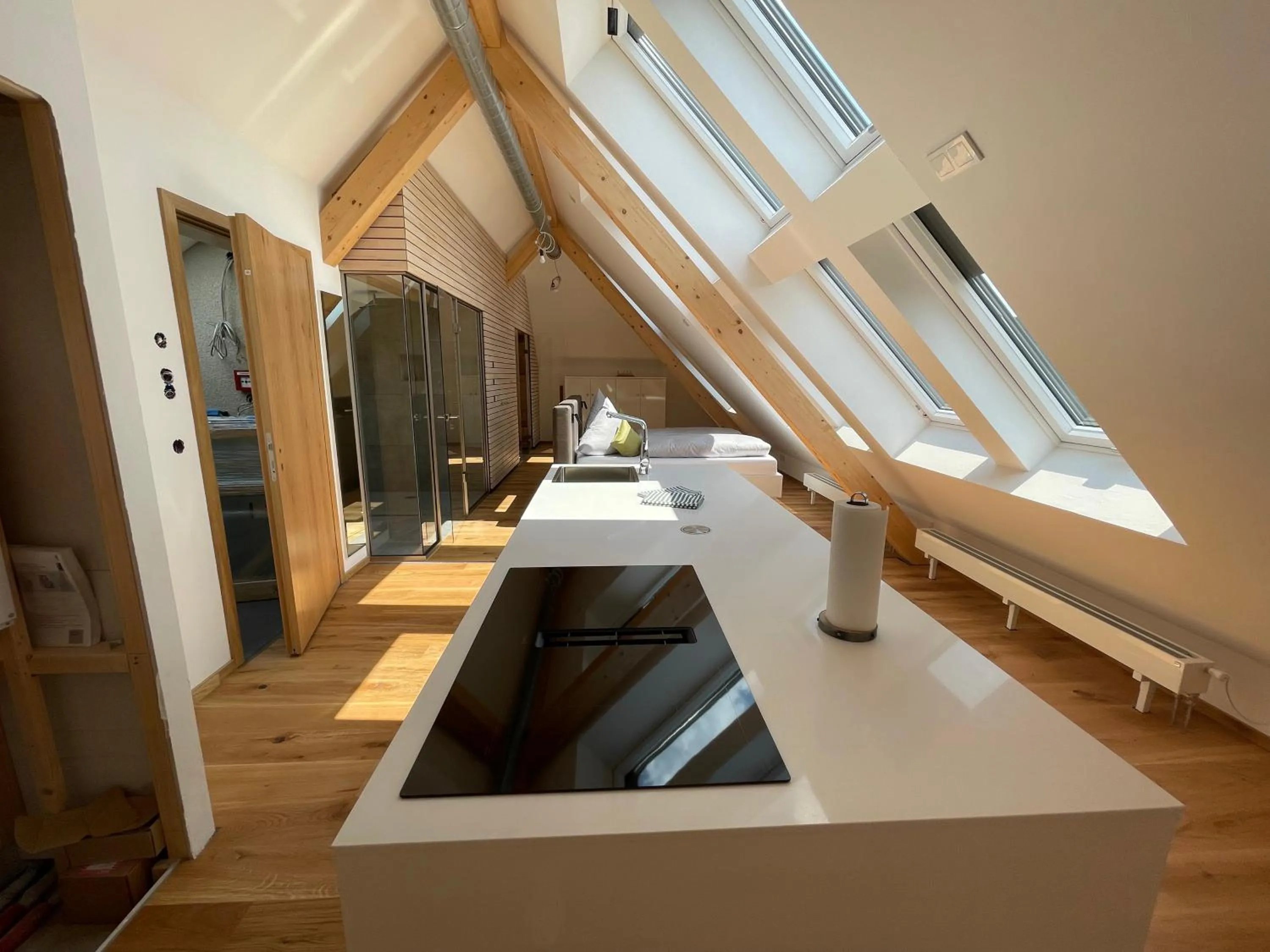 Kitchen or kitchenette in Landhotel und Apartments Sonneck