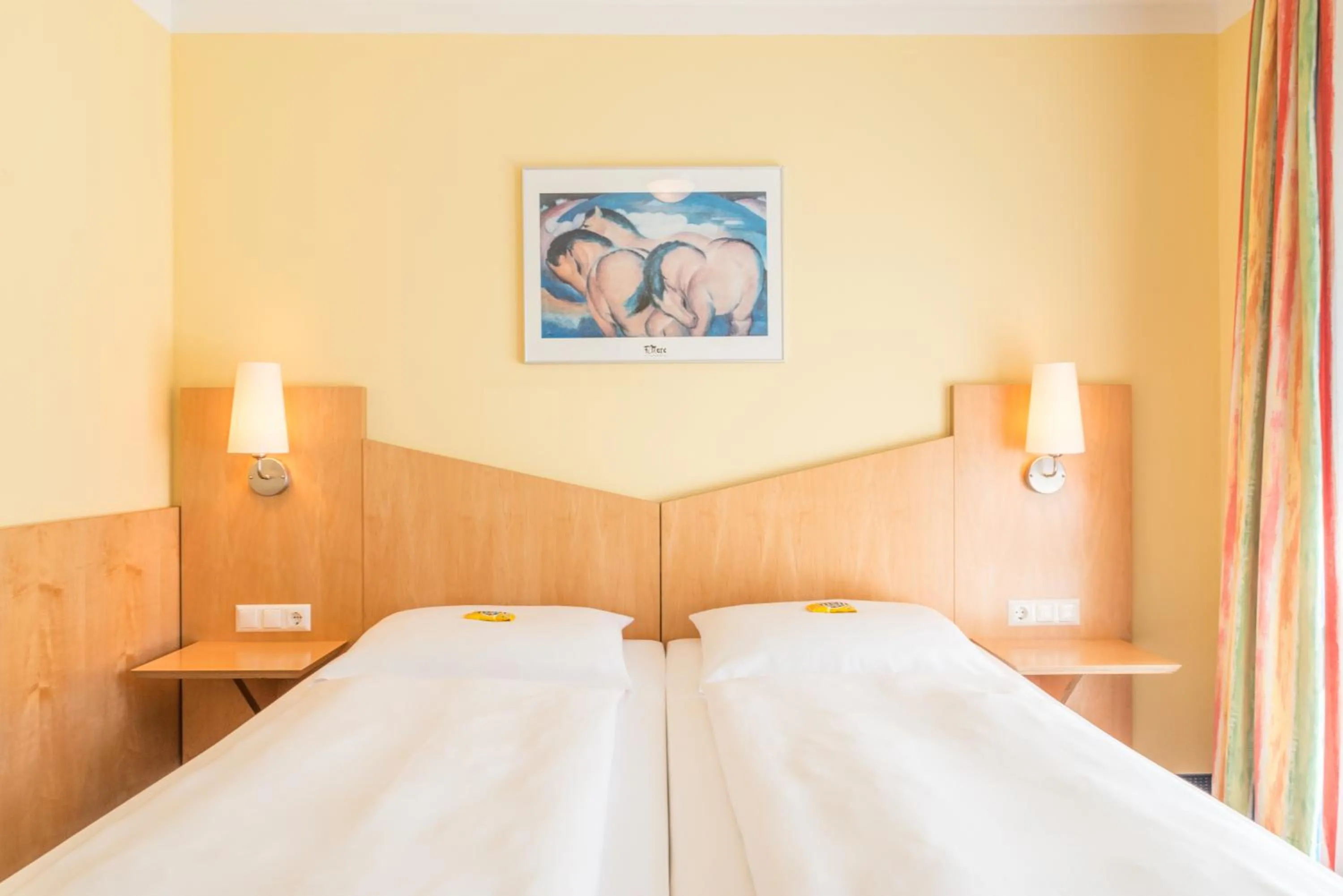 Double Room - single occupancy in Hotel Beim Schrey