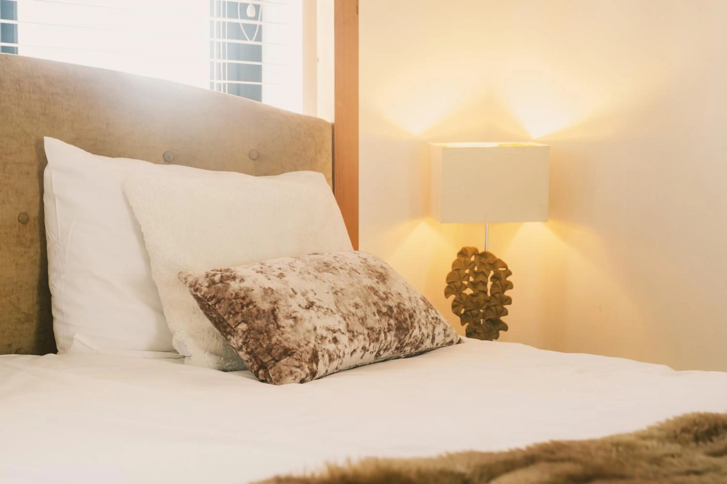 Bed in Mocha Newcastle