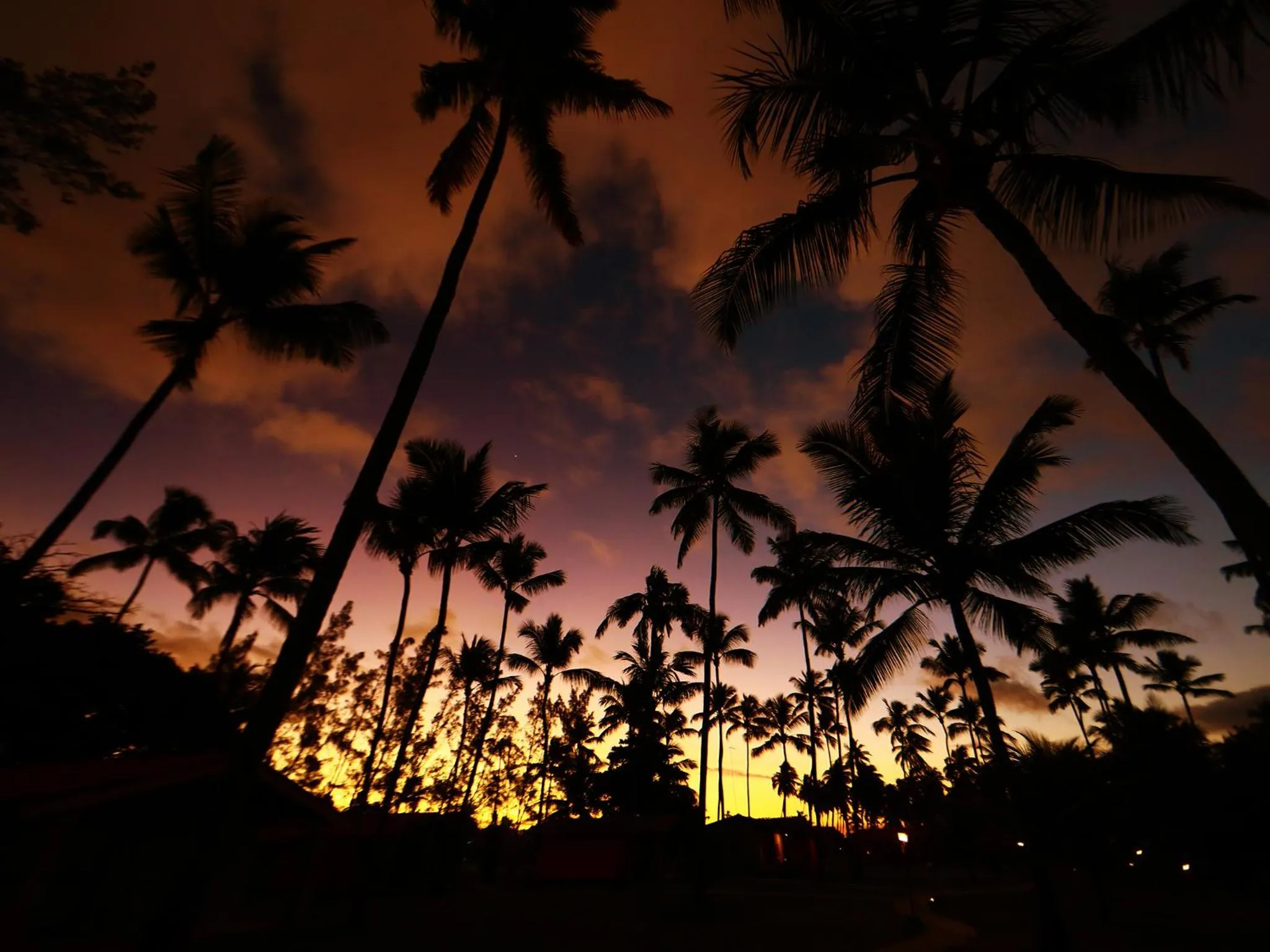 Garden in Pousada Xalés de Maracaípe
