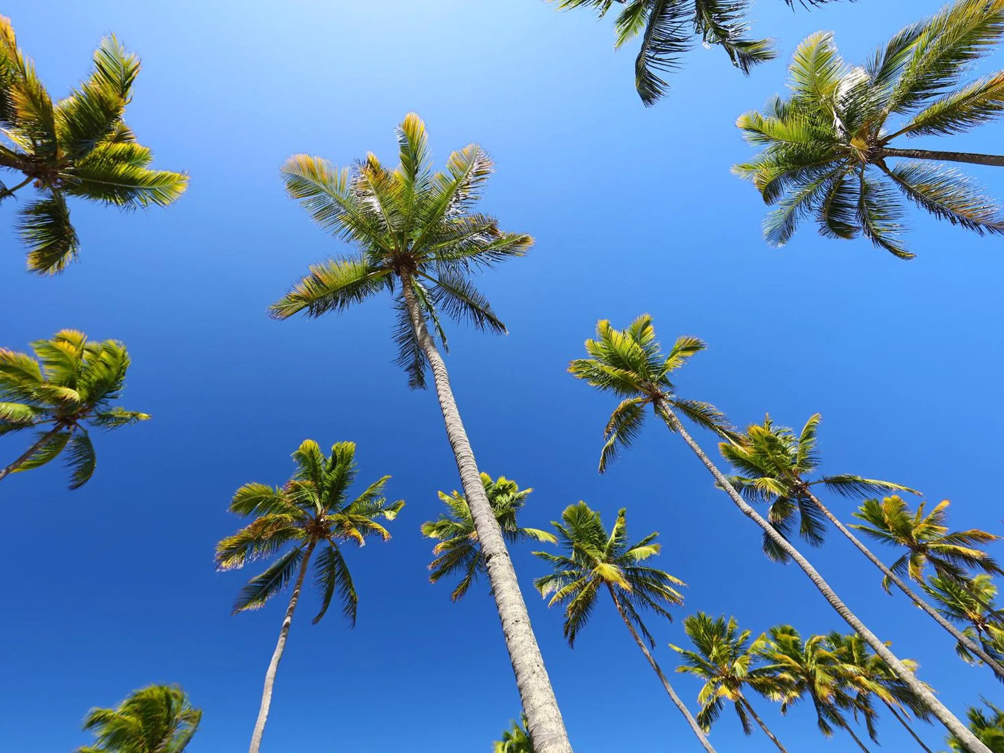 Garden view in Pousada Xalés de Maracaípe