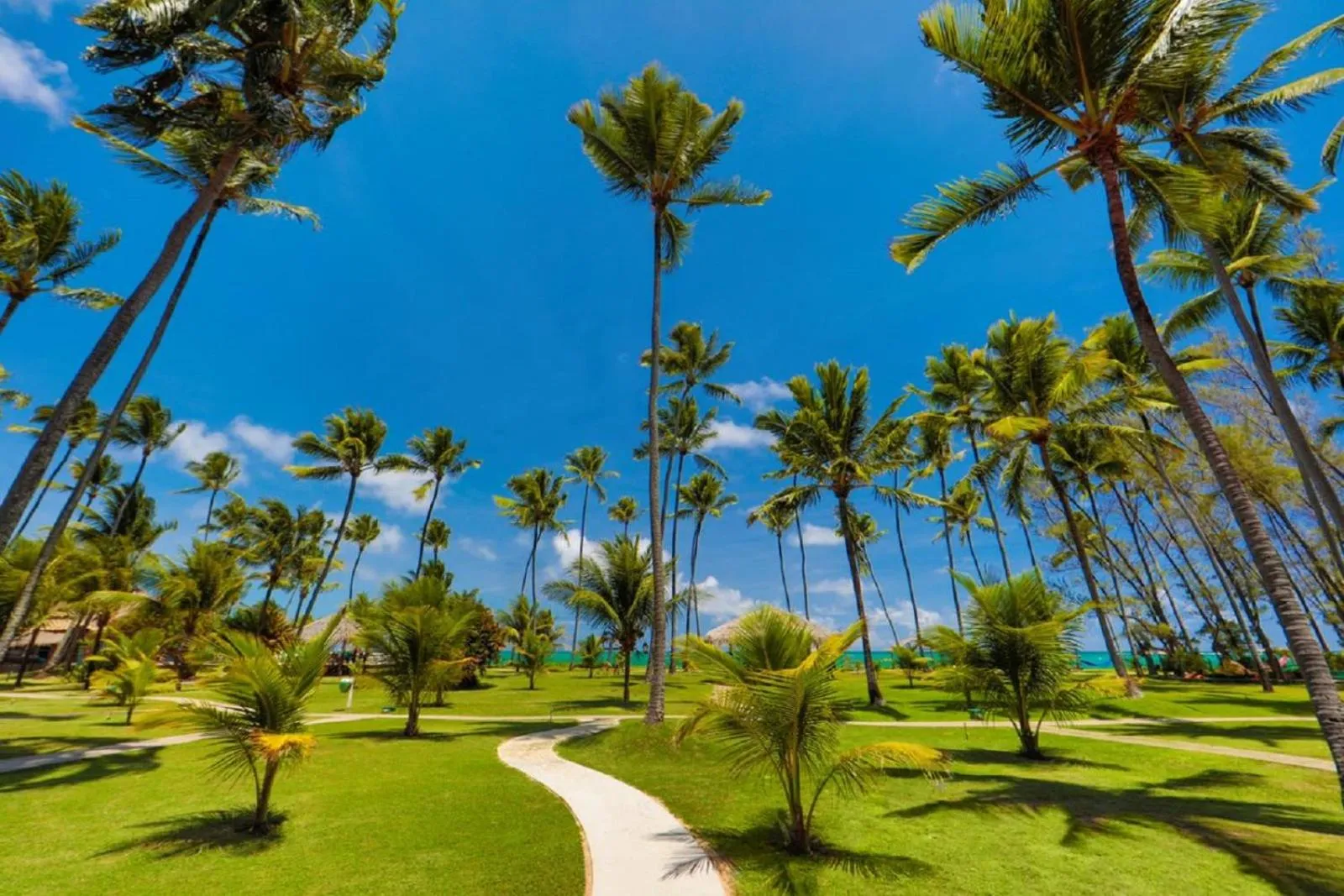 View (from property/room) in Pousada Xalés de Maracaípe