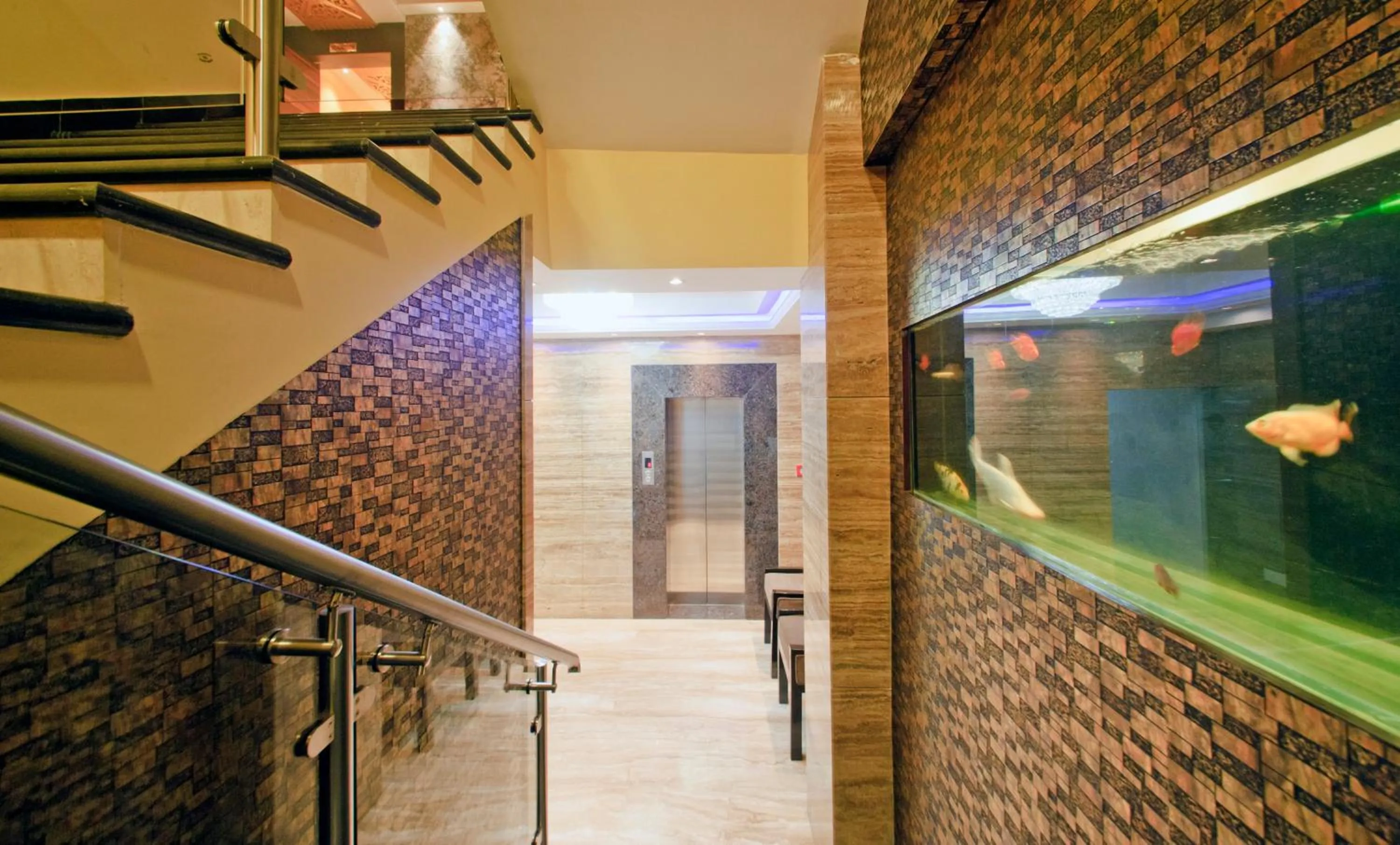 Balcony/Terrace in Hotel Golden Palace