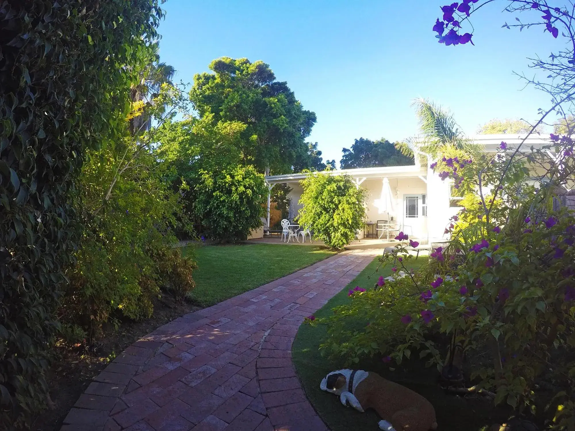 Garden view in Paradiso Guesthouse & Self-catering Cottage Garden view in Paradiso Guesthouse & Self-catering Cottage