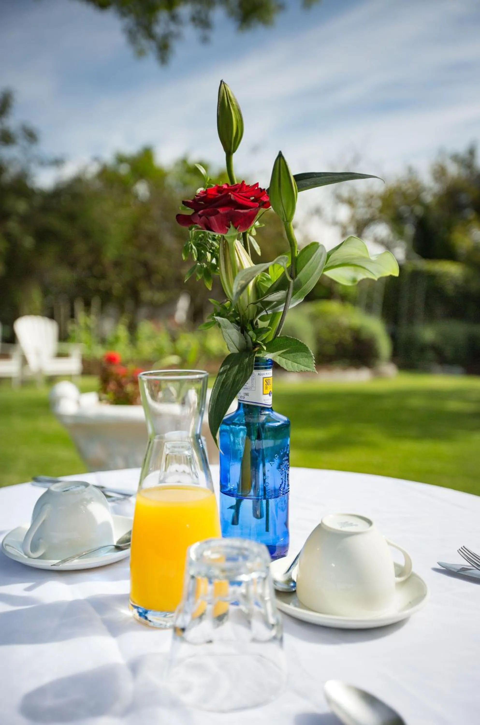 Continental breakfast in Brooklands House
