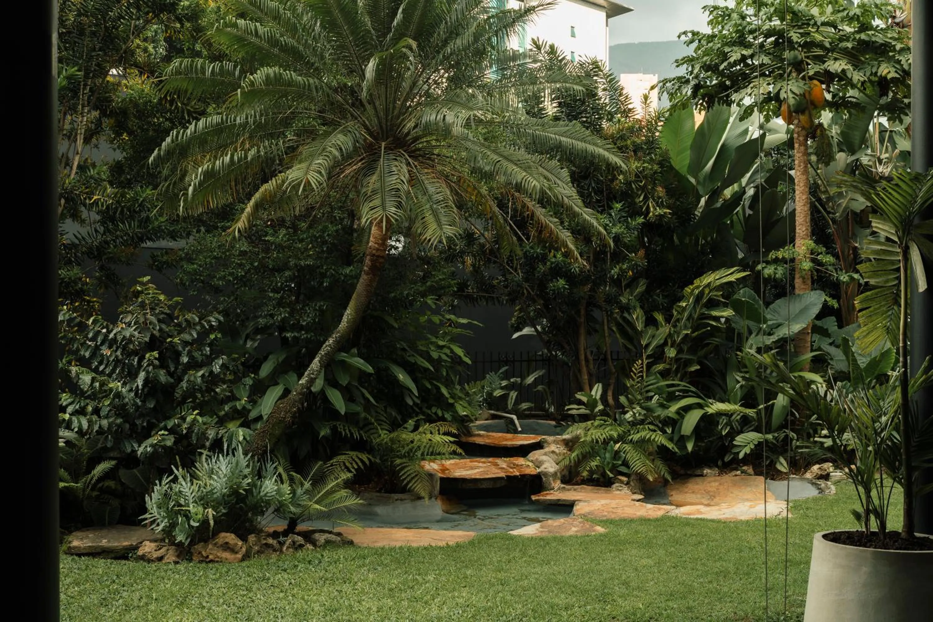 Natural landscape in Hotel Poblado Plaza