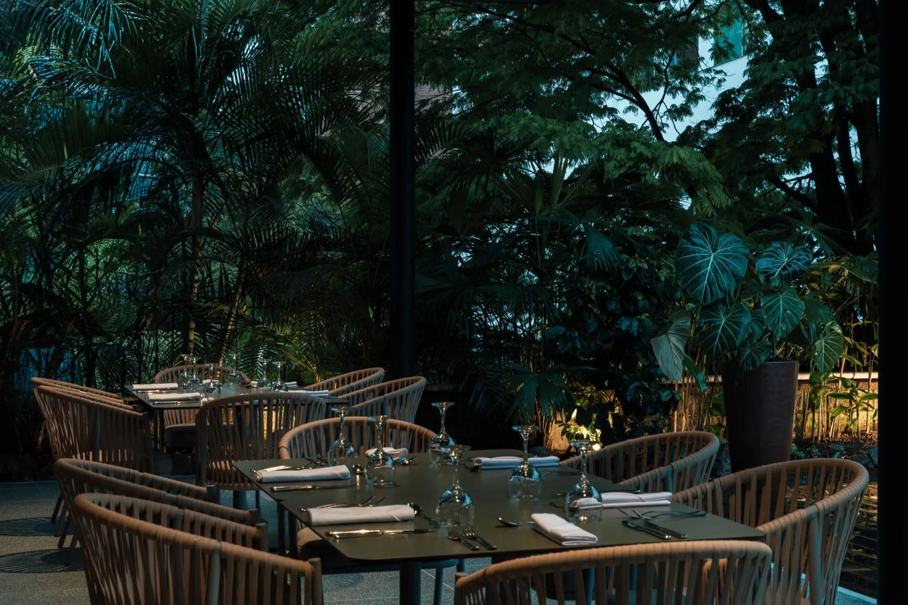 Restaurant/places to eat in Hotel Poblado Plaza