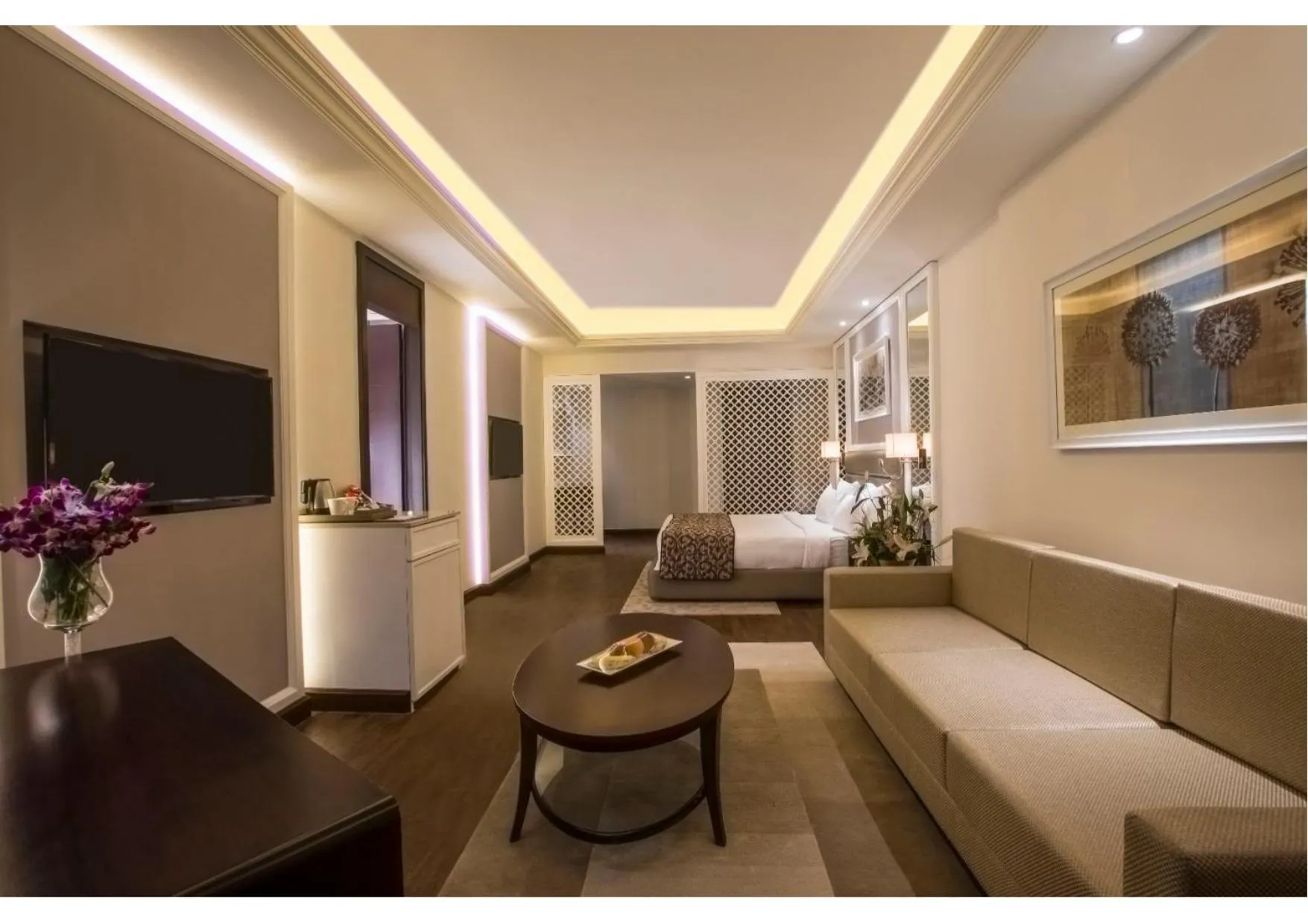 TV and multimedia in Singhania Sarovar Portico