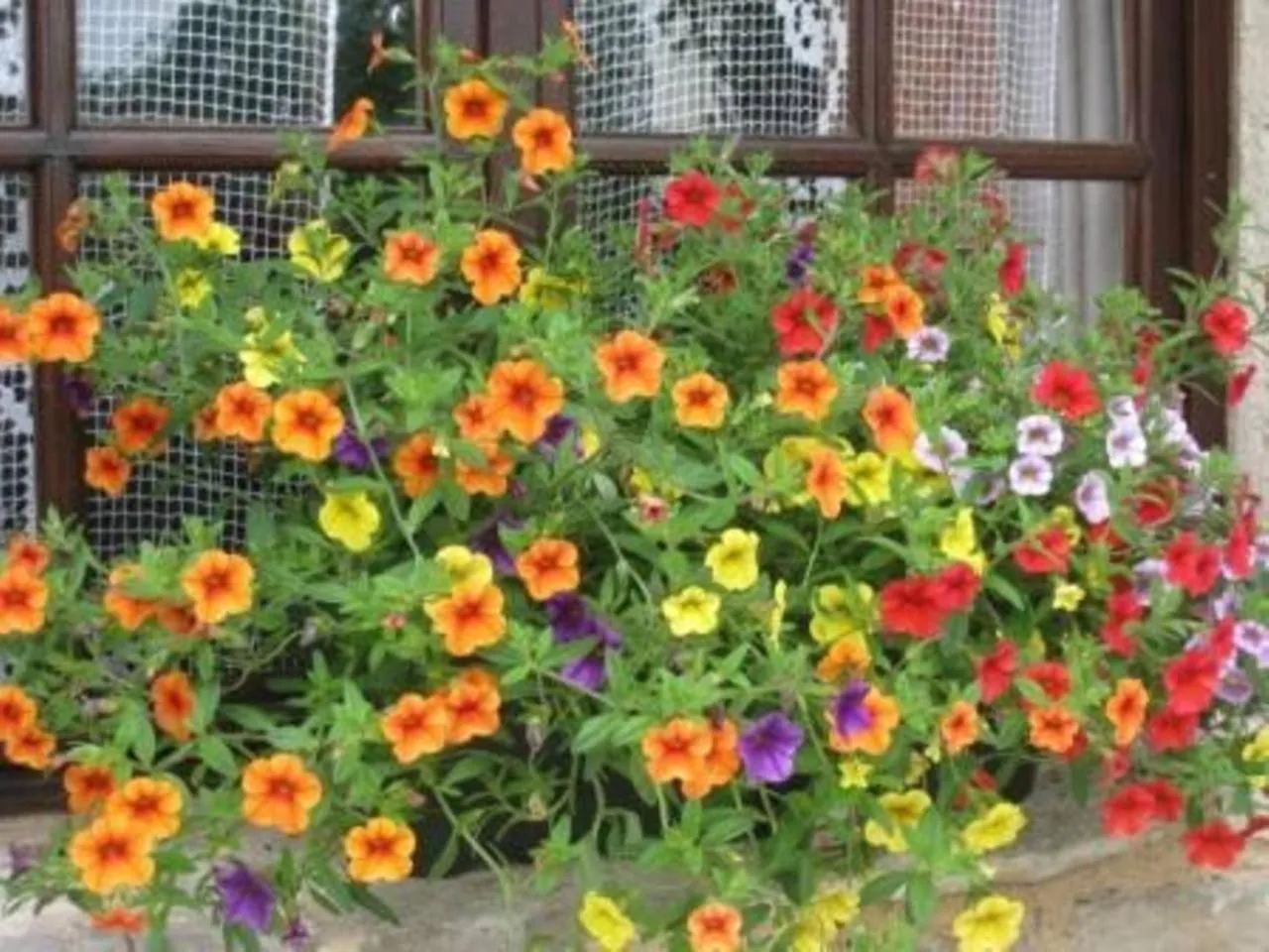 Garden in Pérard Chambres D’Hotes