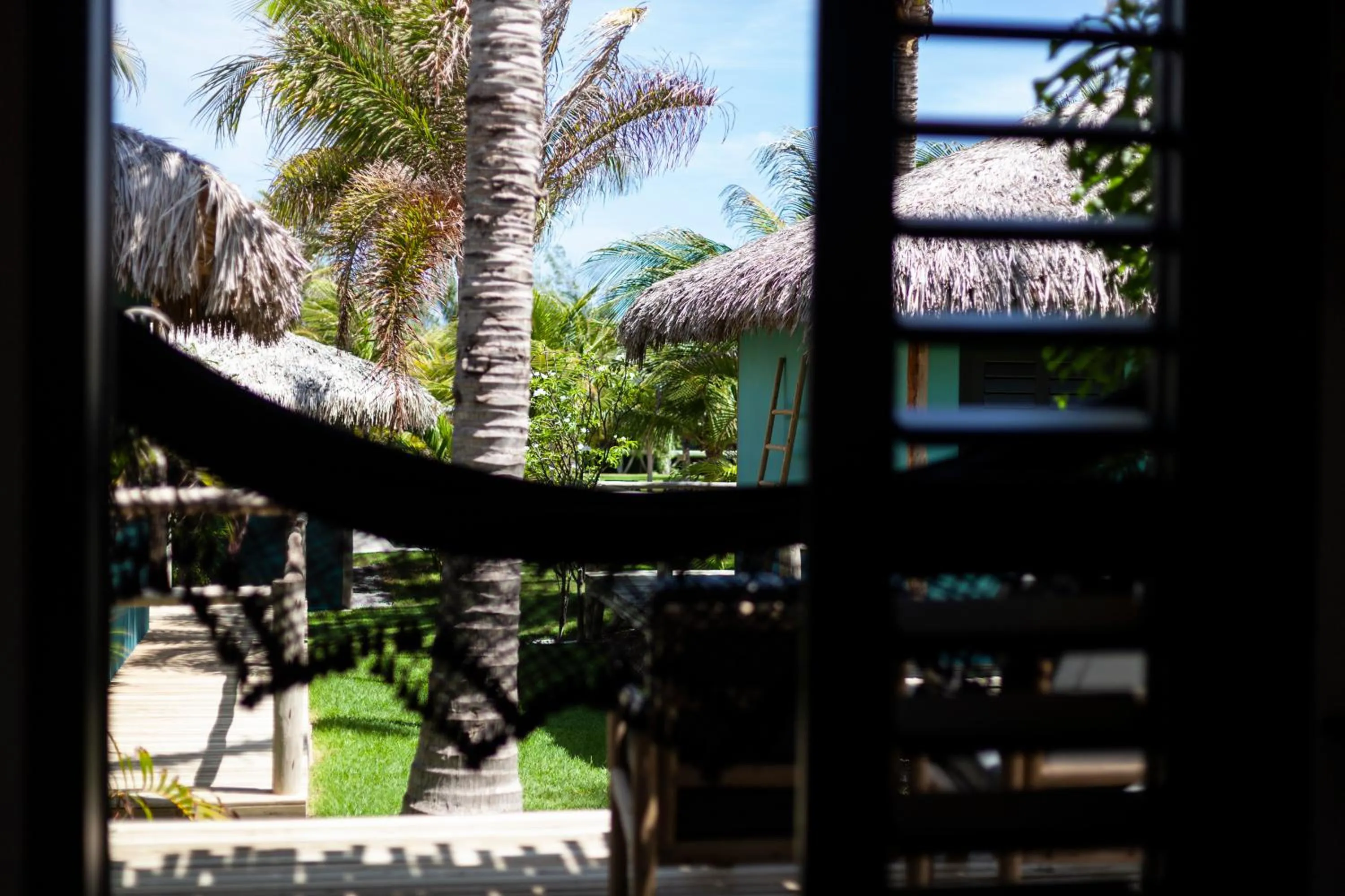 Garden view in Hotel VilaVeraTheresa