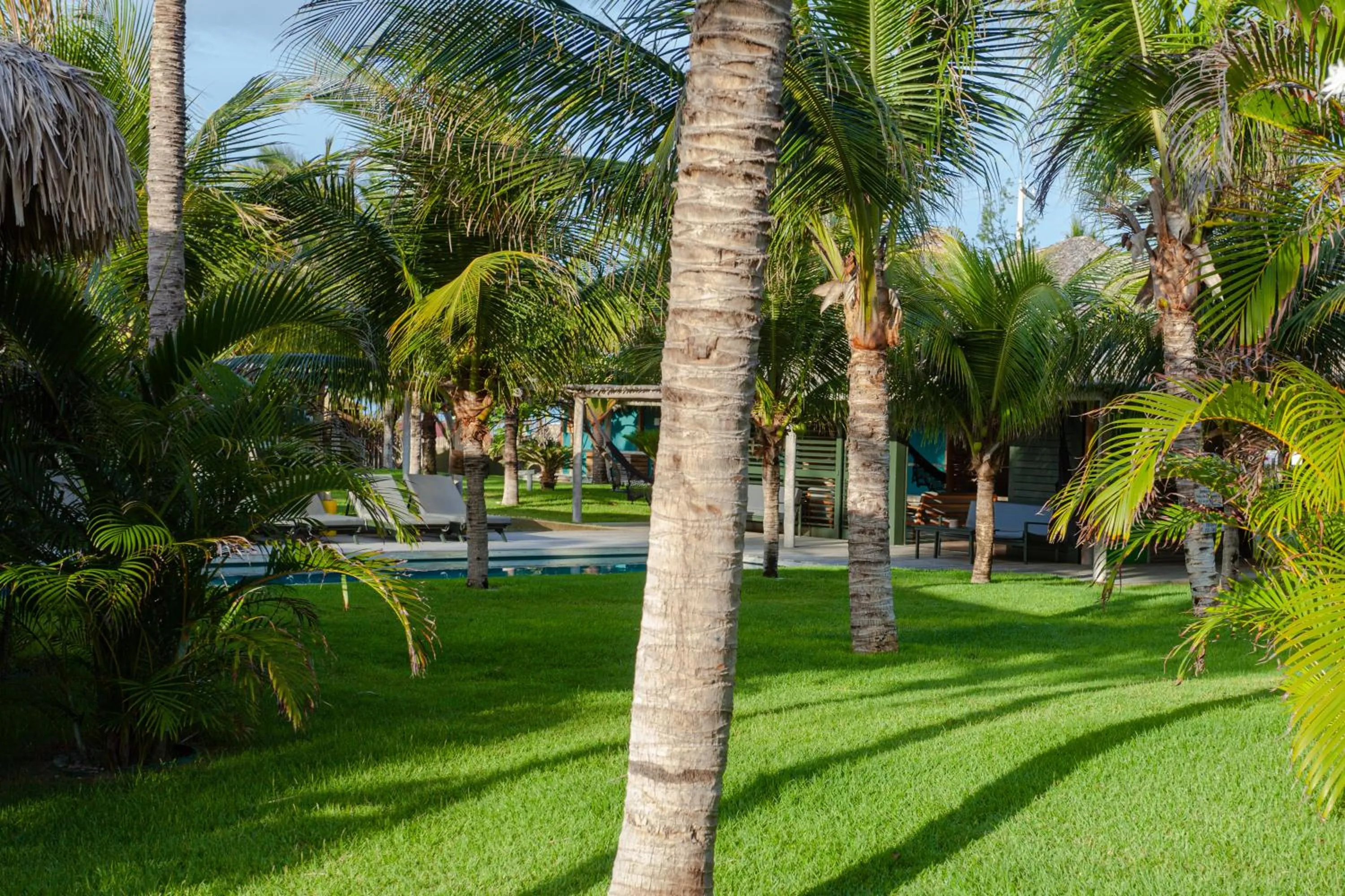 Garden in Hotel VilaVeraTheresa