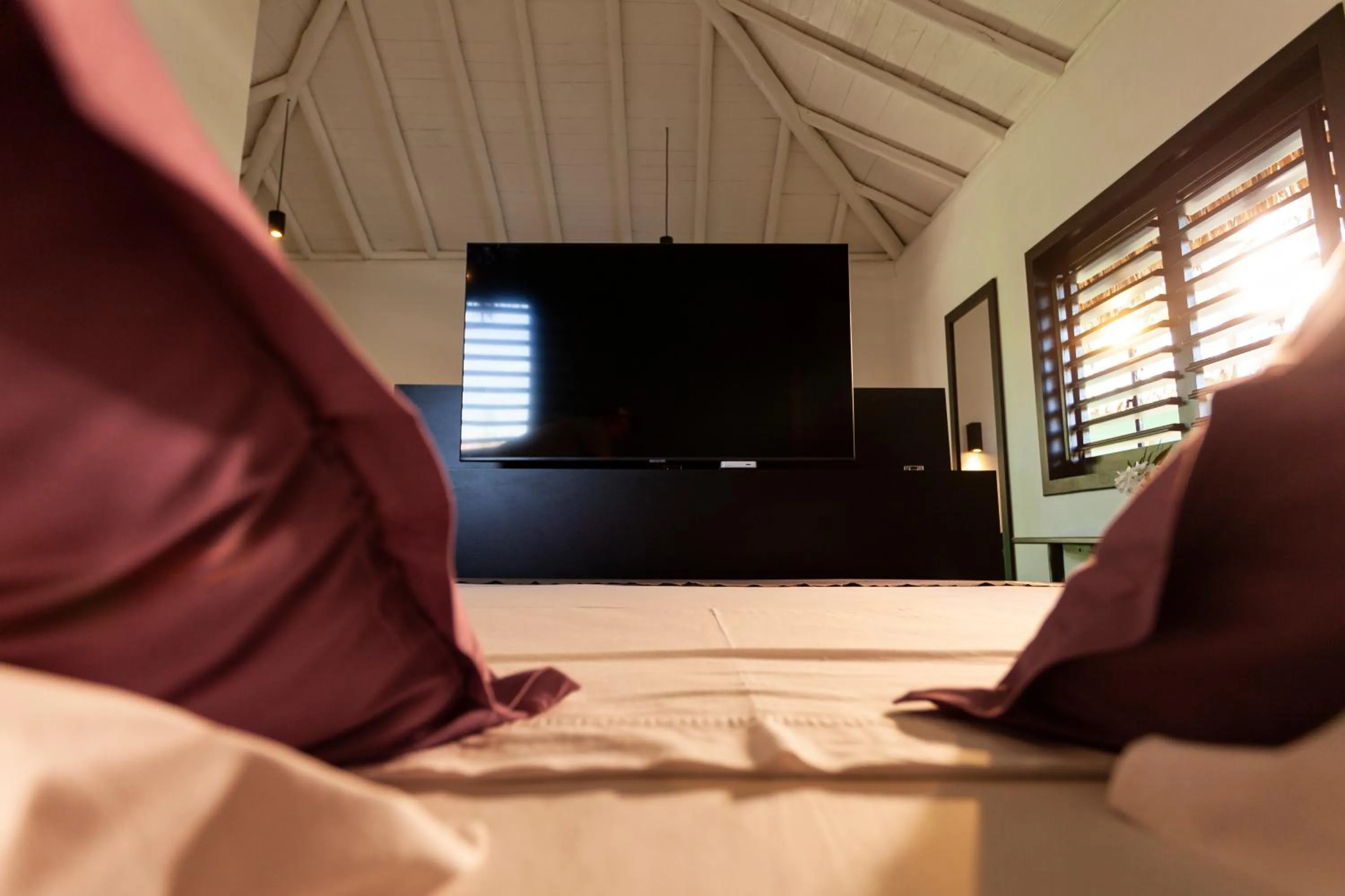 TV and multimedia in Hotel VilaVeraTheresa