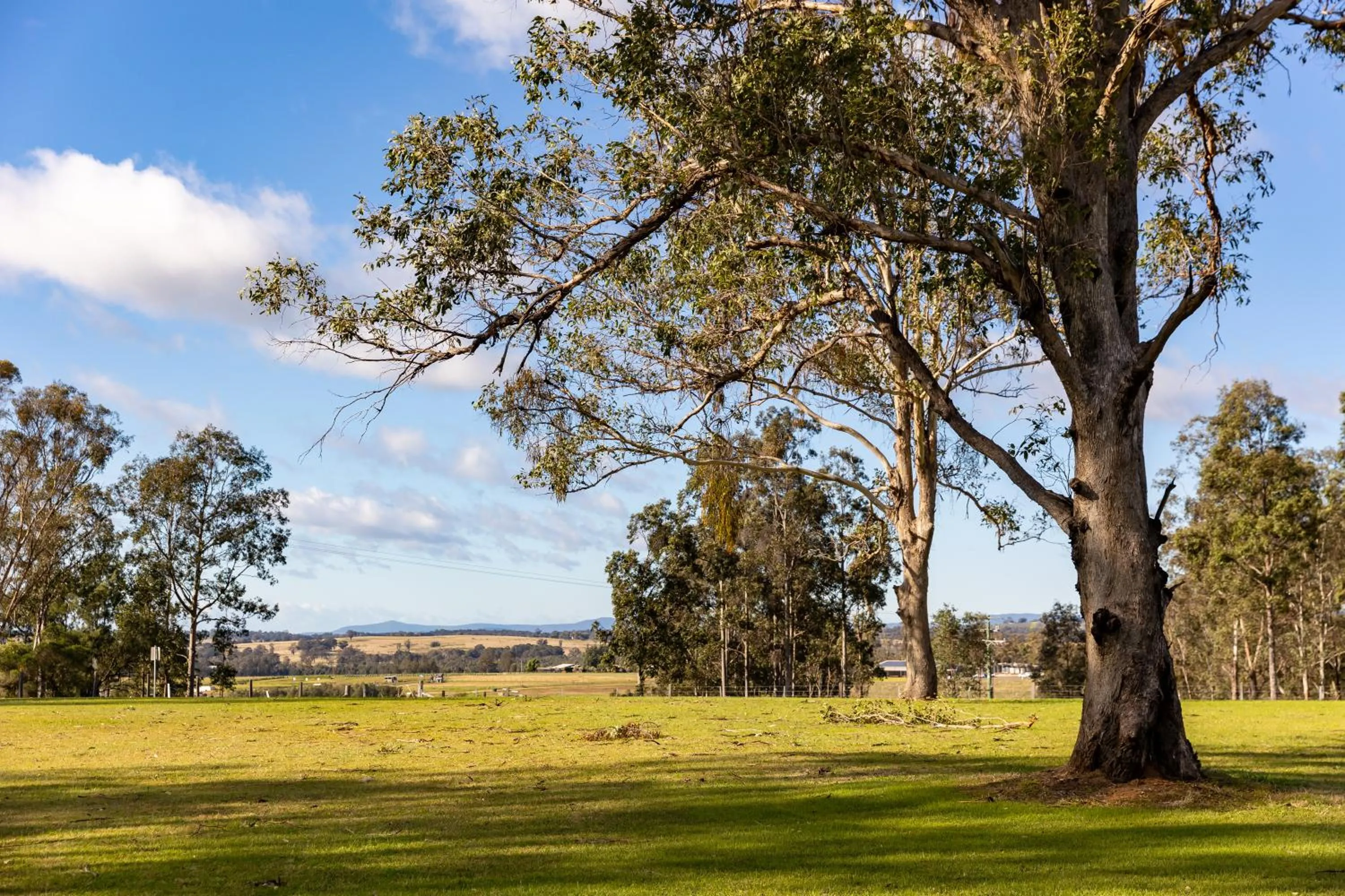 Natural landscape in The Grange On Hermitage