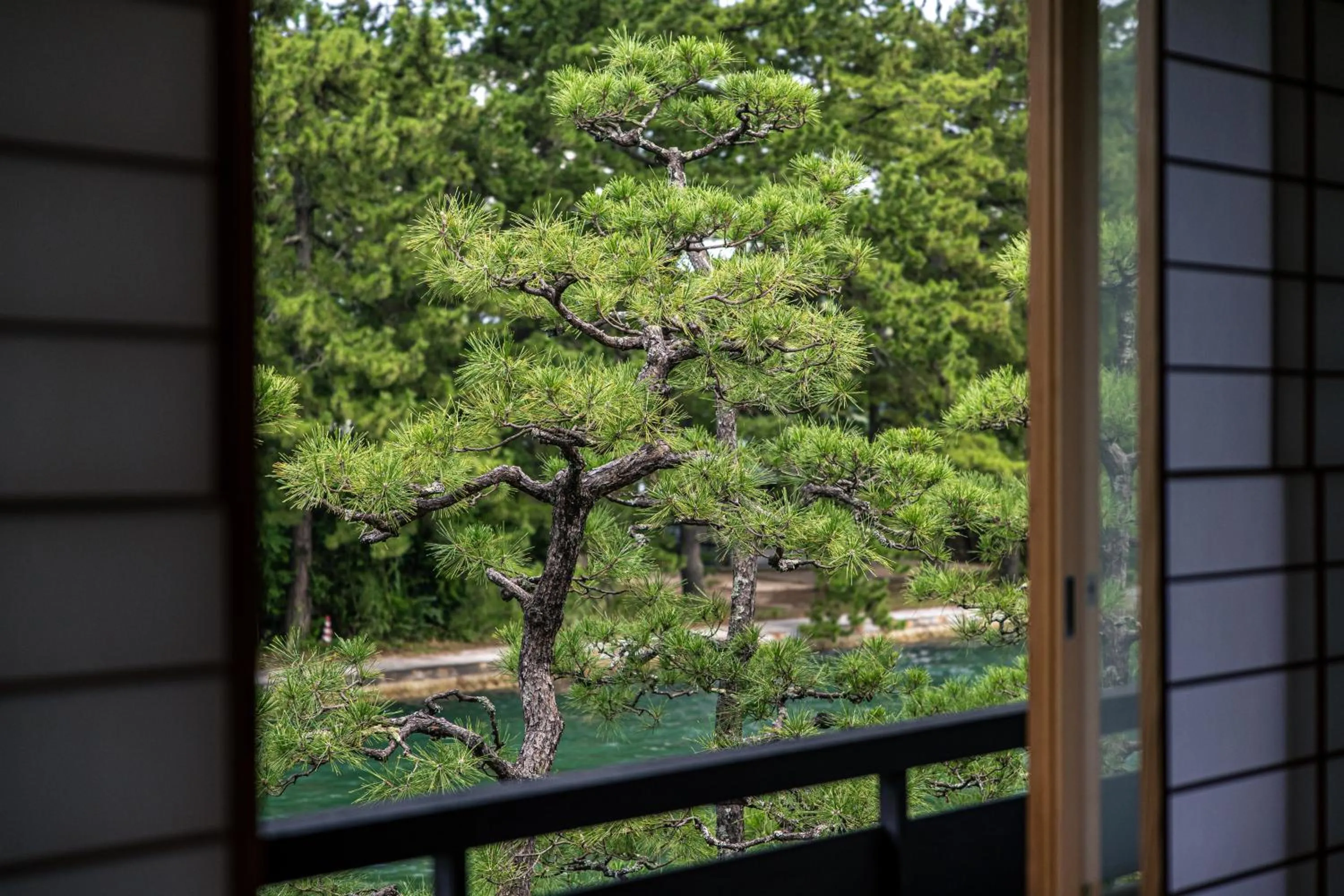 View (from property/room) in Monjusou