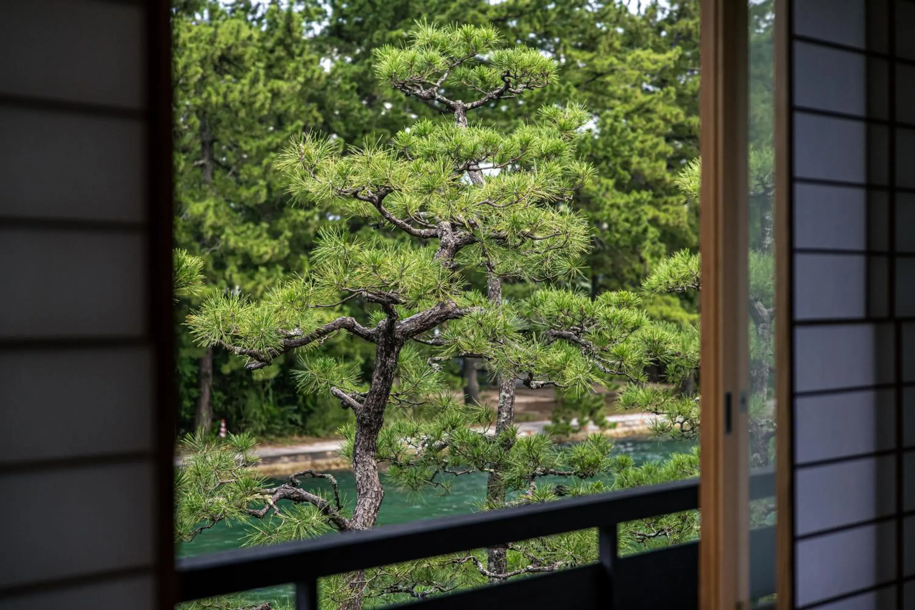 View (from property/room) in Monjusou View (from property/room) in Monjusou