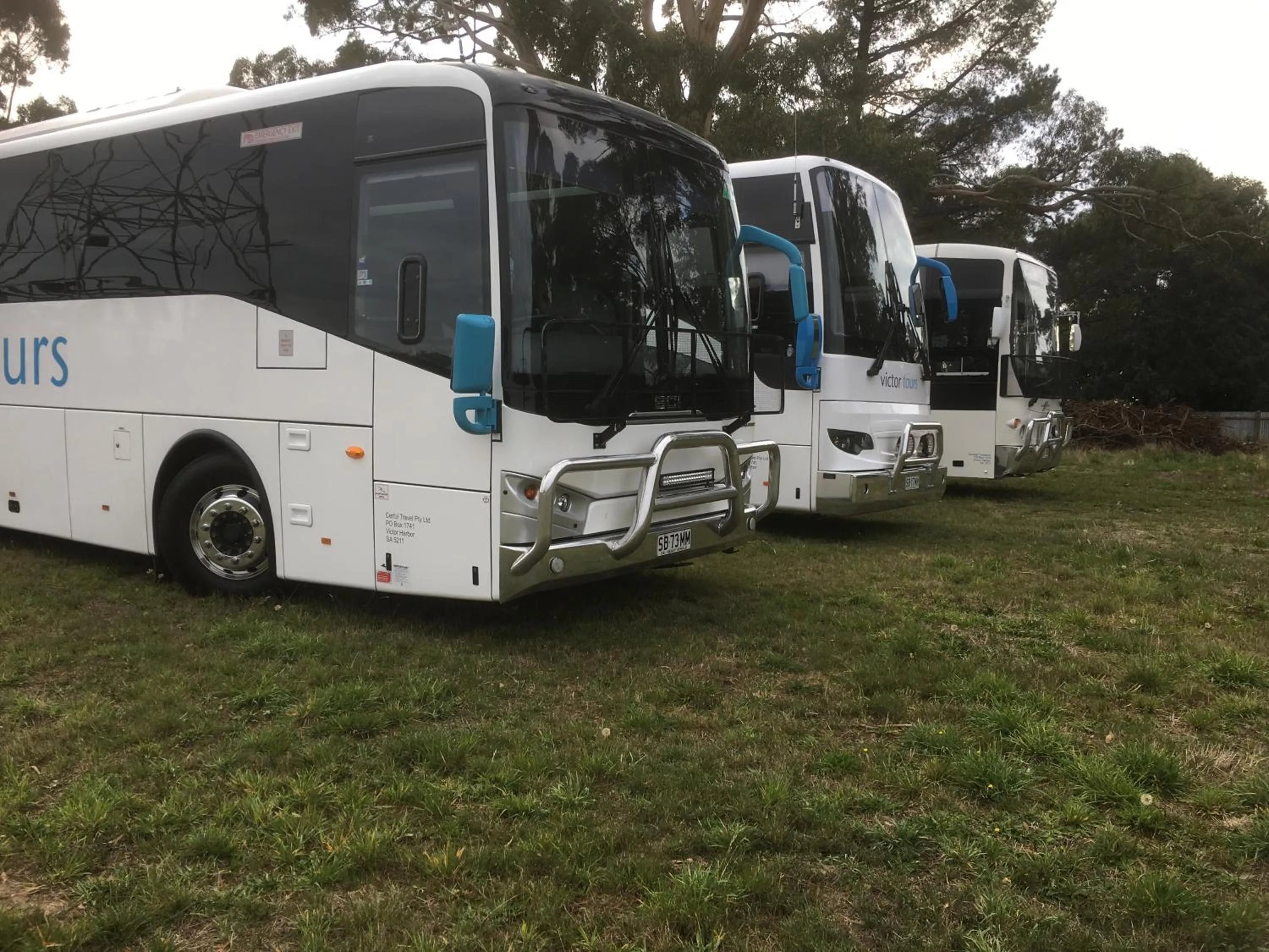 Garden in Woodmans Hill Motel