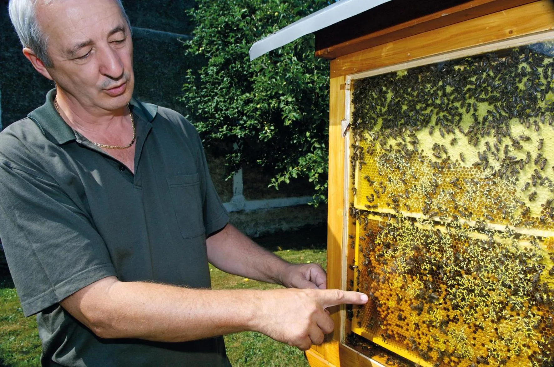 Nearby landmark in Hotel der Freiraum
