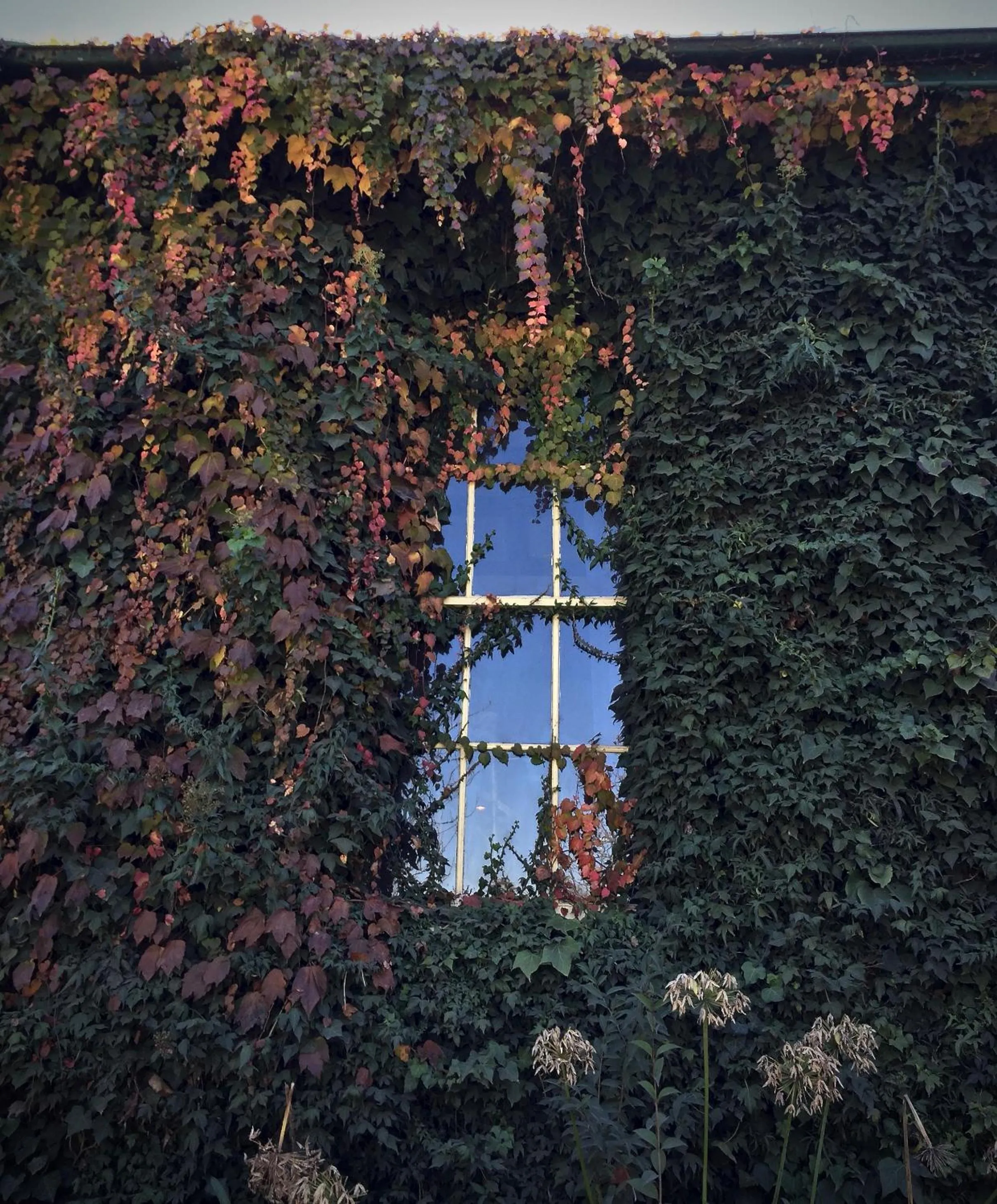 Lobby or reception in Berida Hotel