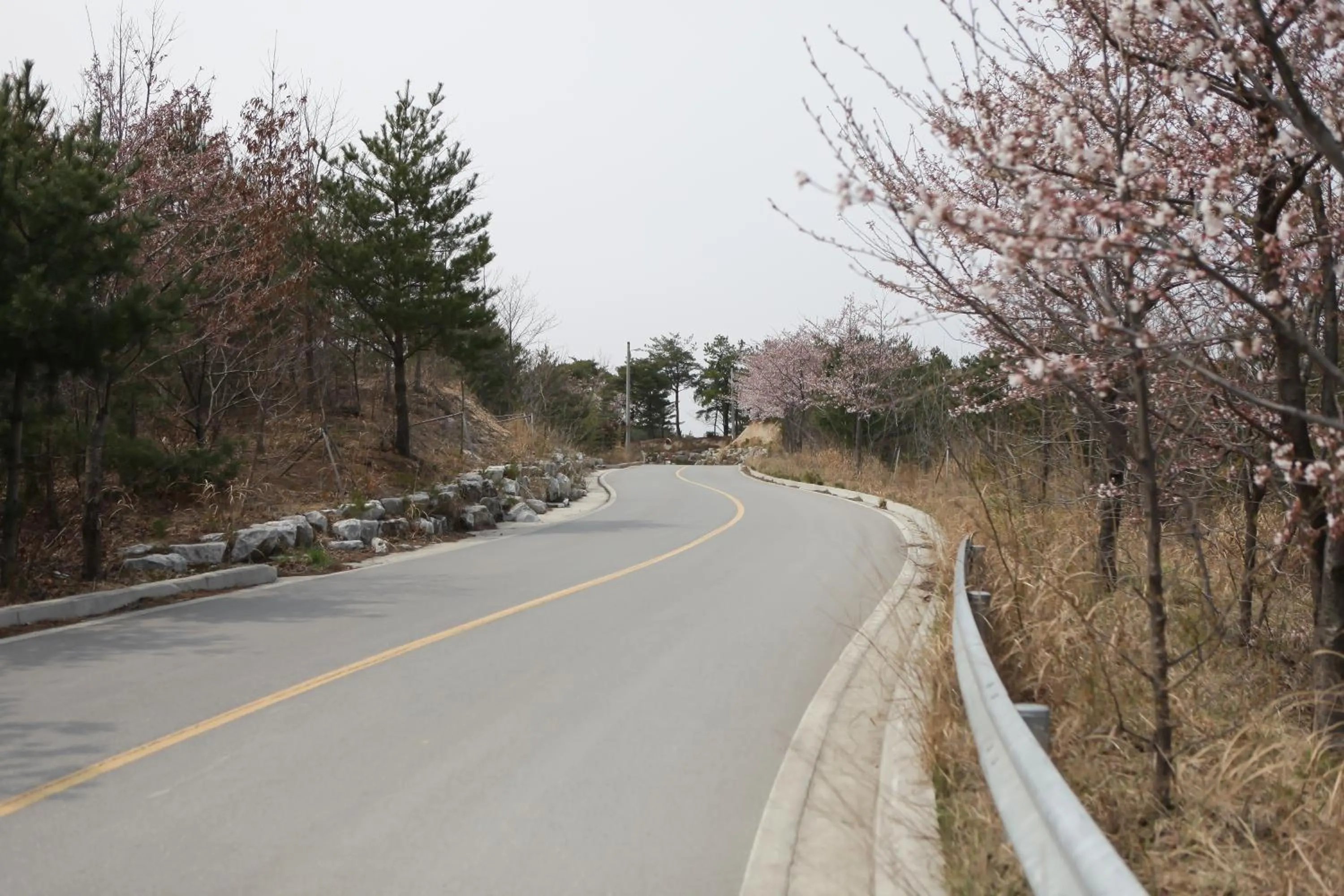 Other in Goodstay Motel Hill