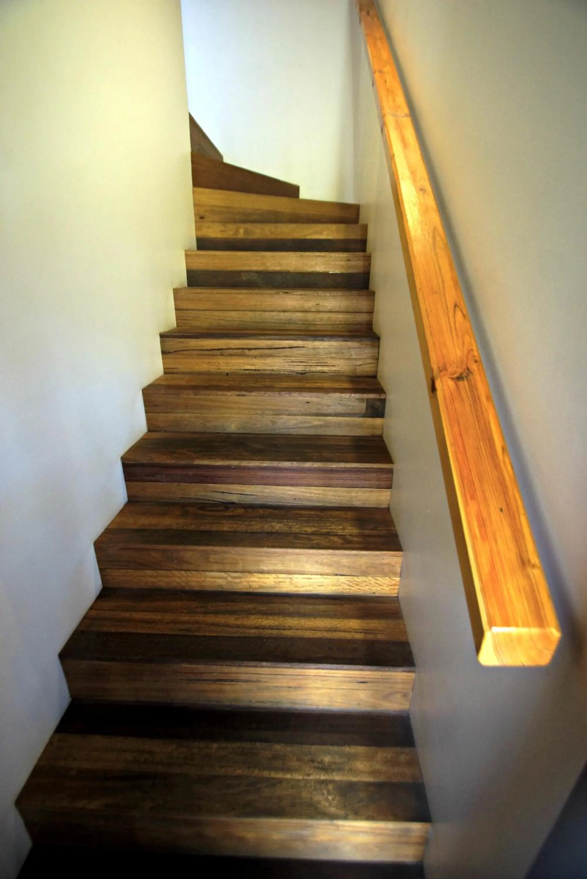 Other in Manzanilla Ridge