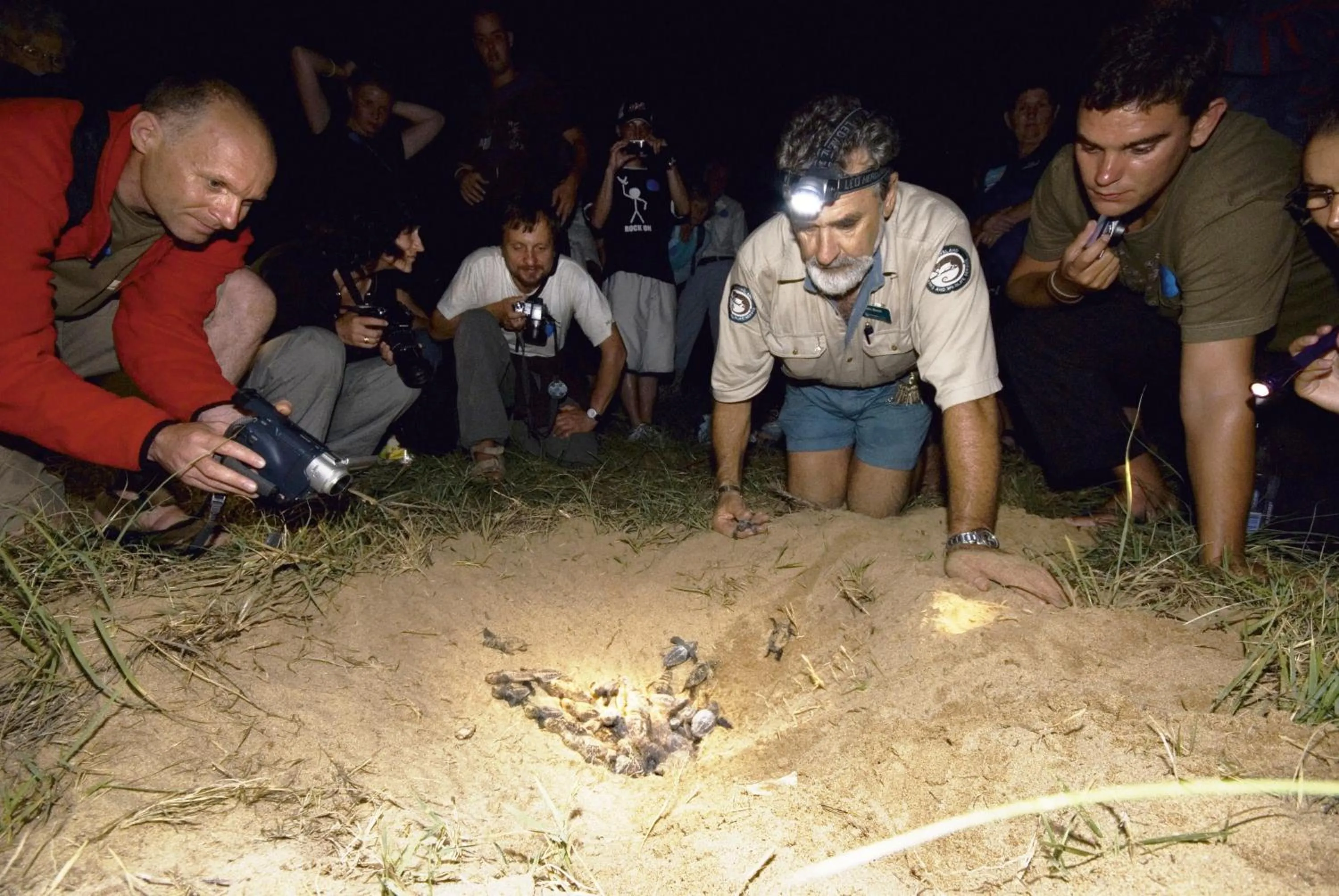 Area and facilities in Koola Beach Apartments Bargara