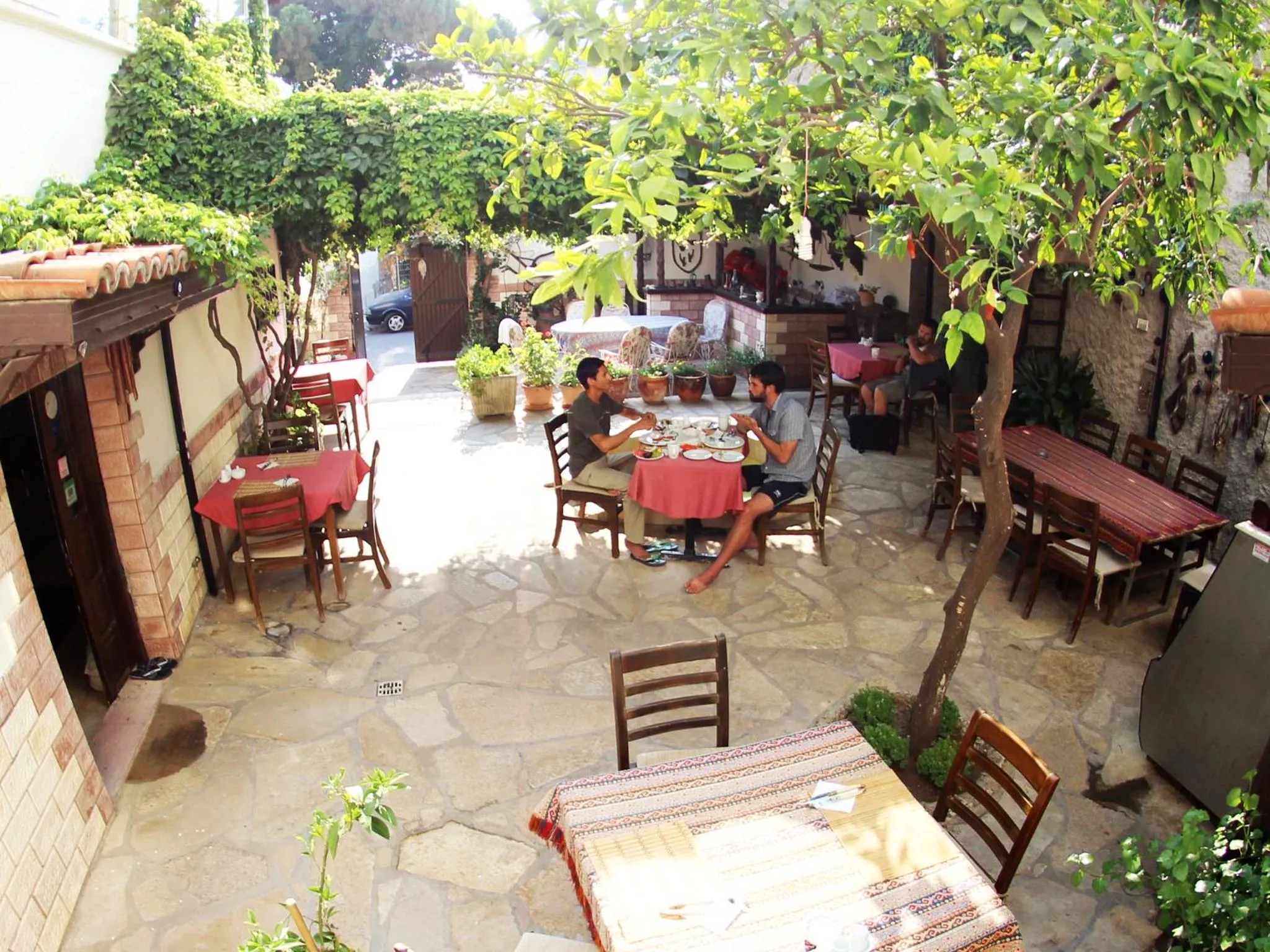 Garden in Tuncay Pension