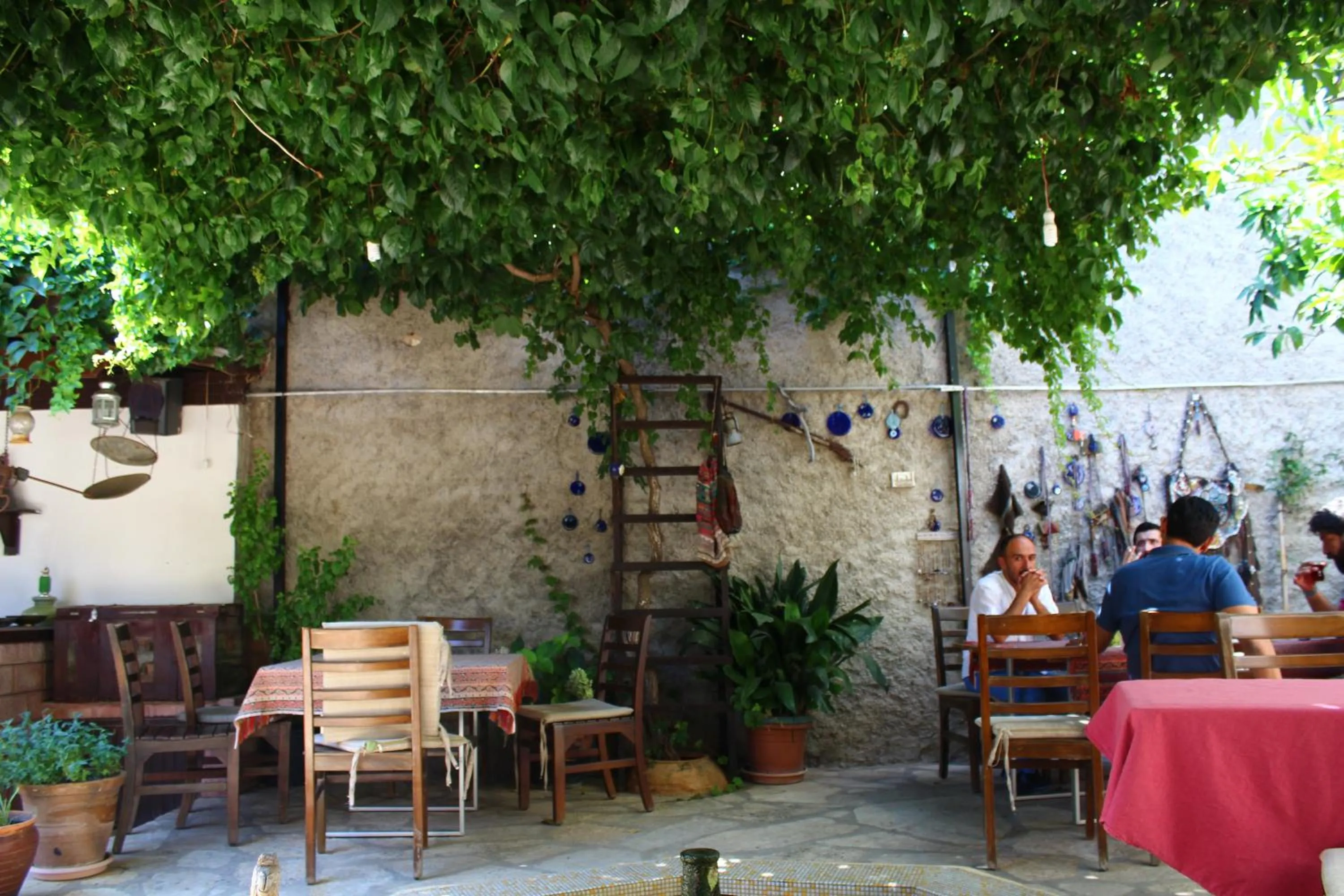 Garden in Tuncay Pension