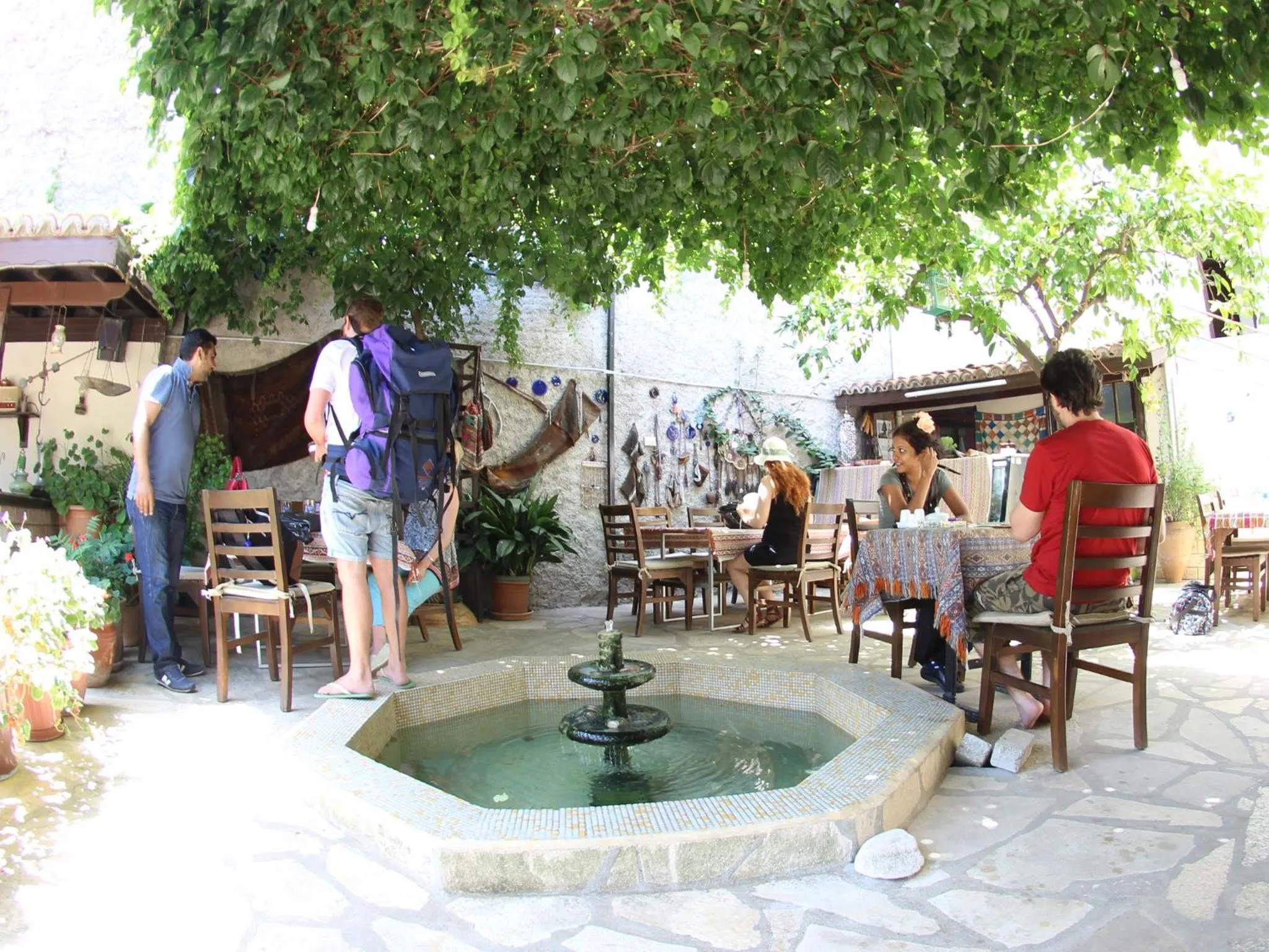 Garden in Tuncay Pension