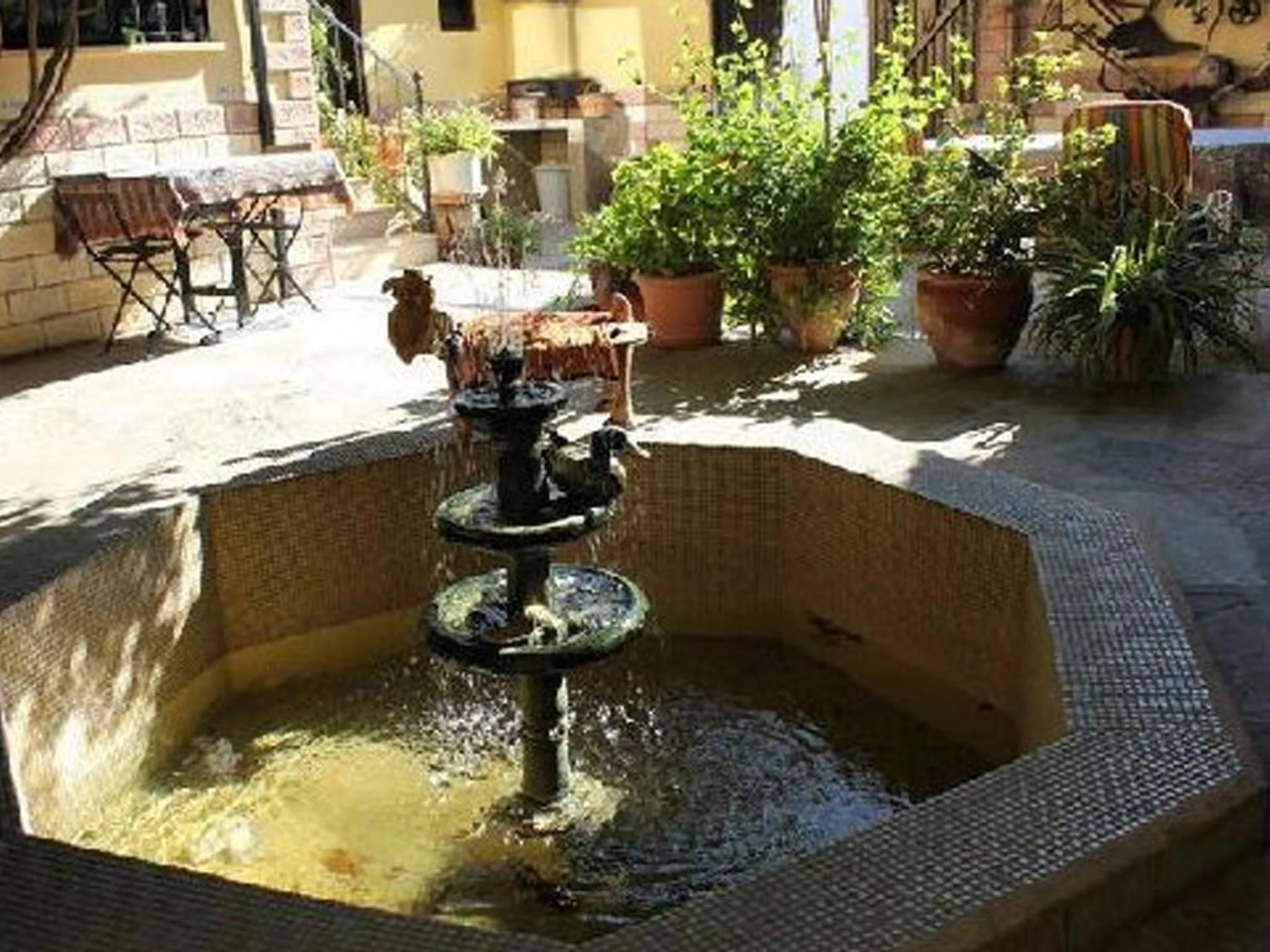 Garden in Tuncay Pension