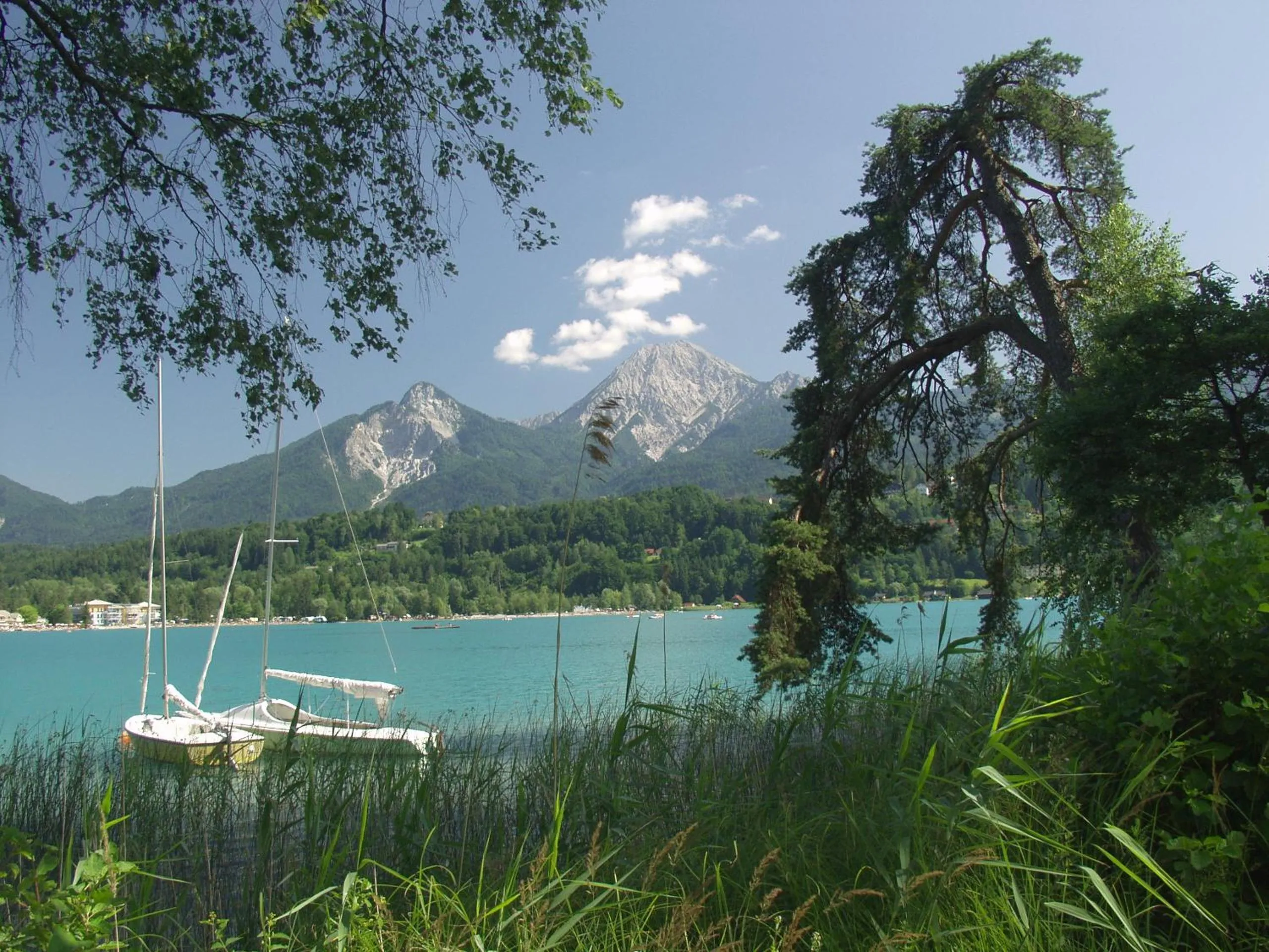 View (from property/room) in Inselhotel Faakersee